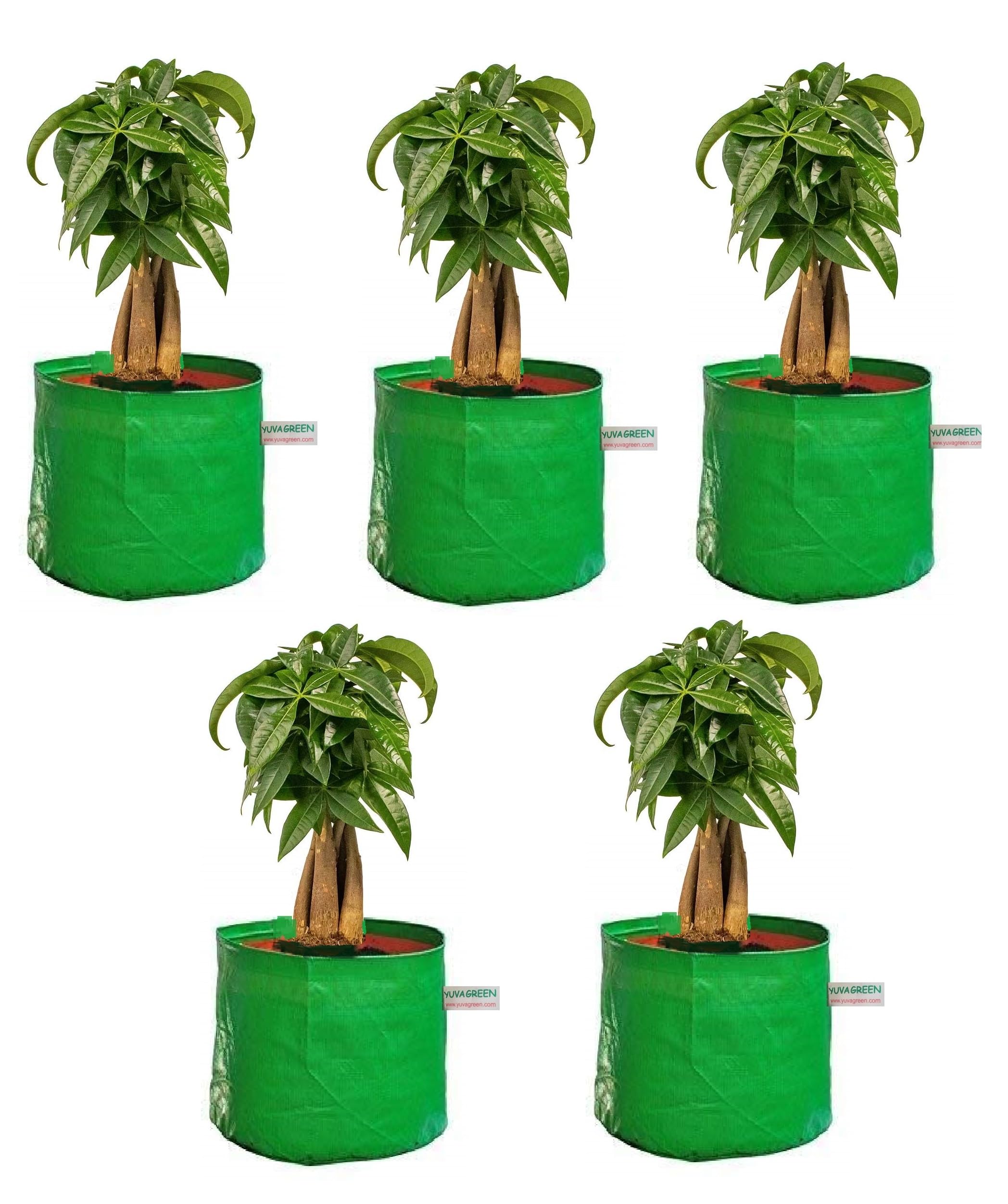 YUVAGREEN Heavy Duty Terrace Gardening Leafy Vegetable Green Grow Bag (15" X 12") - (Pack of 5) (B09FFLT74P) Amazon Price History, Amazon Price Tracker