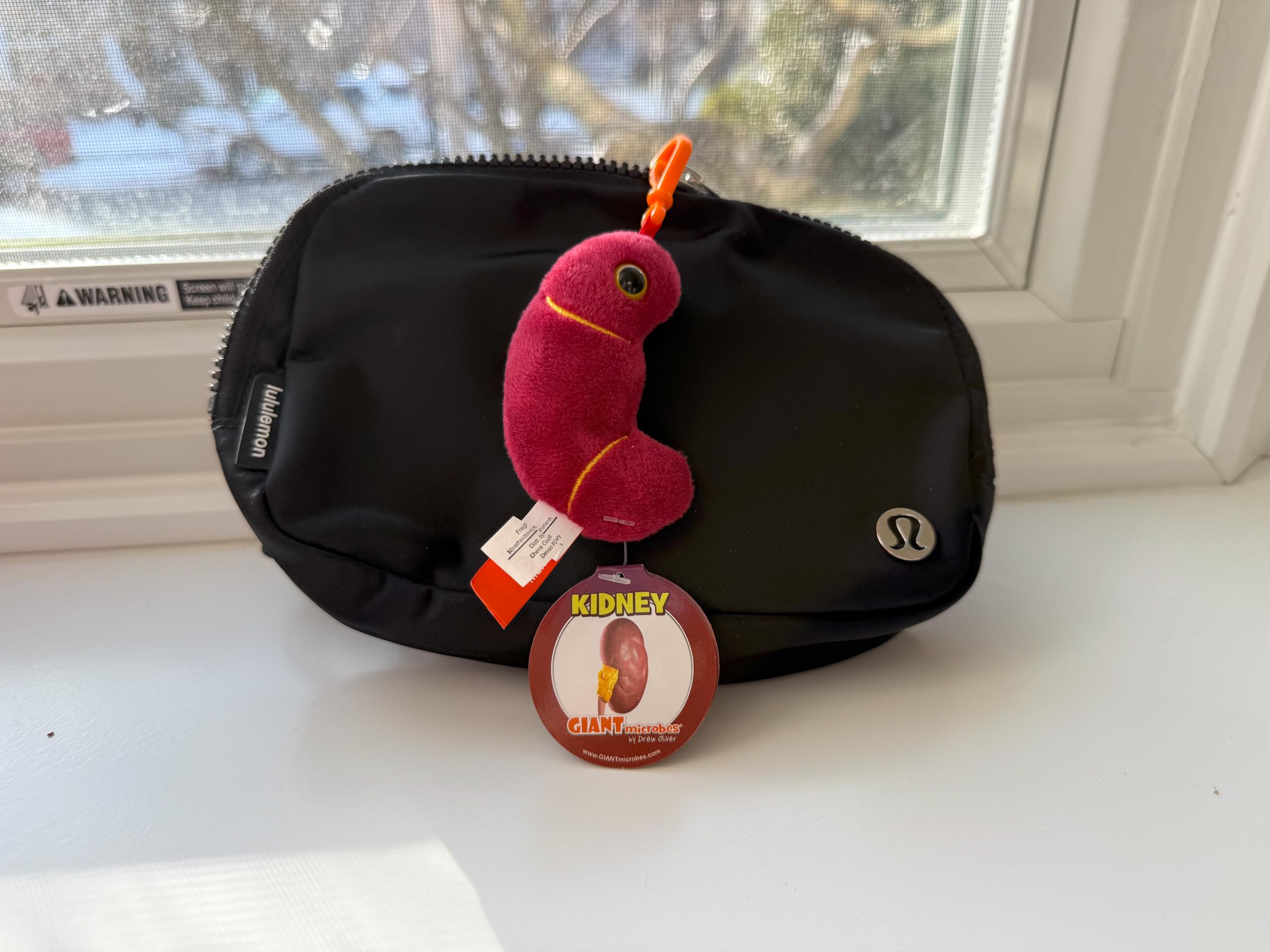 Amazon.co.jp: 【腎臓】 ジャイアントマイクロブス GIANT Microbes