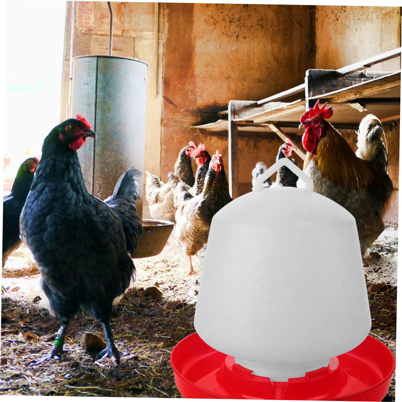 Hemobllo Mangiatoia Per Pollame e Pulcini in Plastica Resistente, Contenitore Riutilizzabile Per Cibo e Acqua, Adatta Per Galline, Anatre e Piccioni, Per Pollai Domestici e Uso Professionale