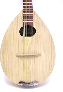 Amazon | basicO マンドリン(ケース付き） | マンドリン | 楽器・音響機器