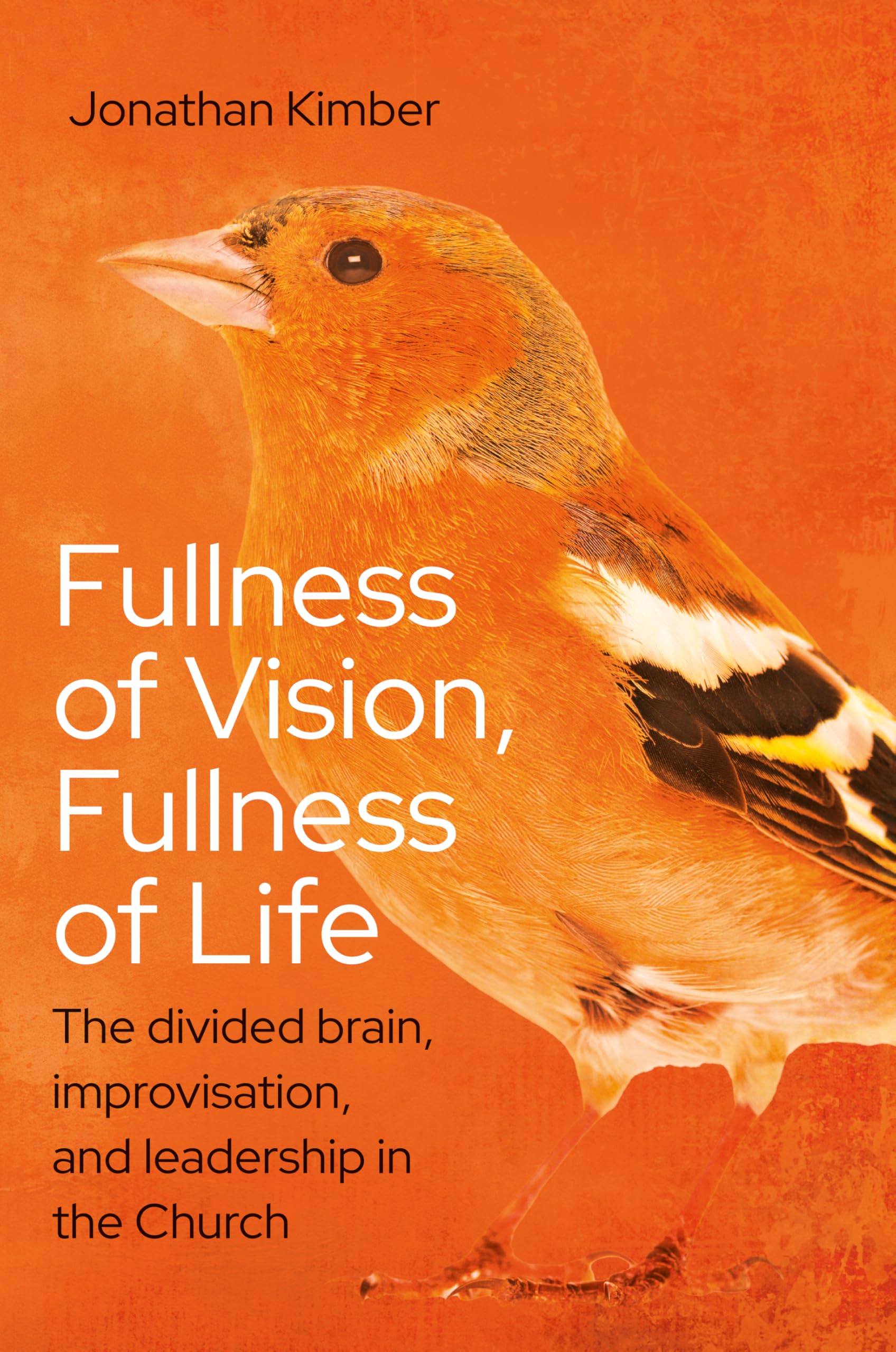 Fullness of Vision, Fullness of Life: The divided brain, improvisation, and leadership in the Church