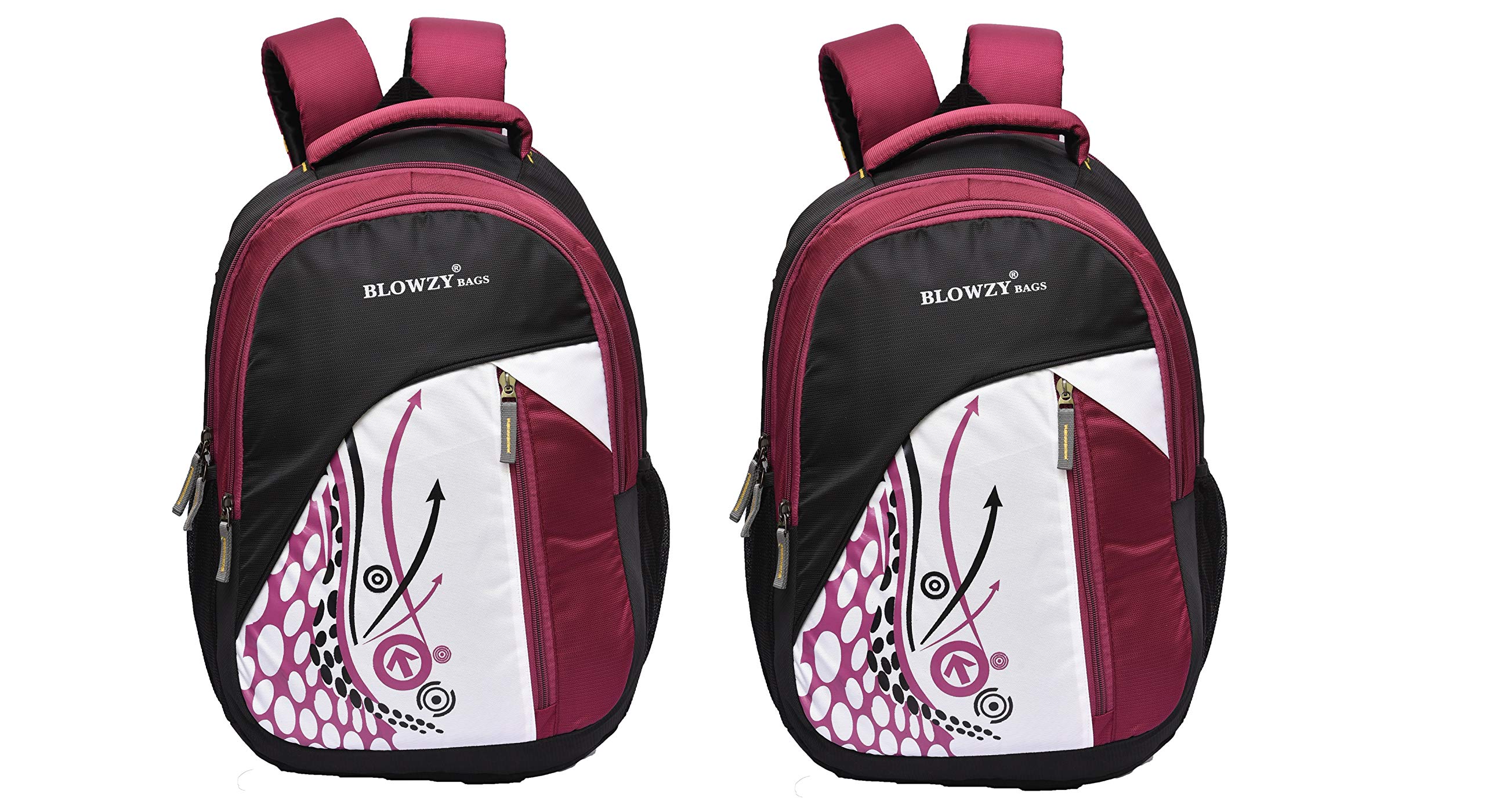 Blowzy Bags Combo Backpack Casual College 35 L Backpack (Purple)