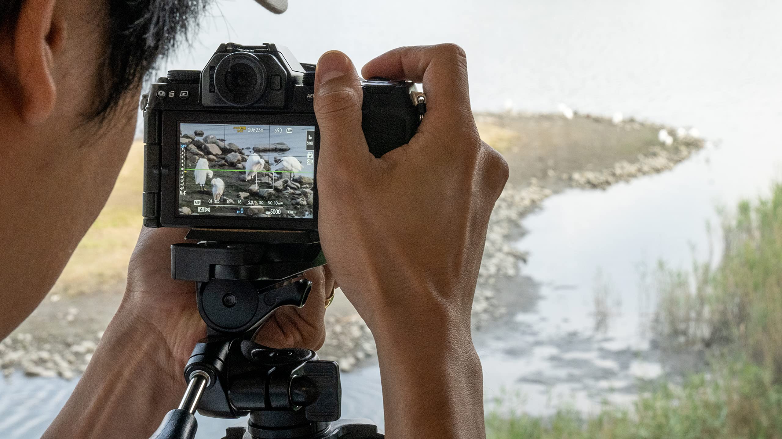 Amazon.com : Tokina SZ PRO 600mm f/8 Reflex MF CF Lens for Sony E