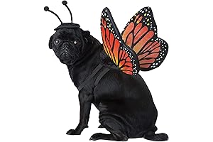 California Costumes Pet Butterfly Costume Large