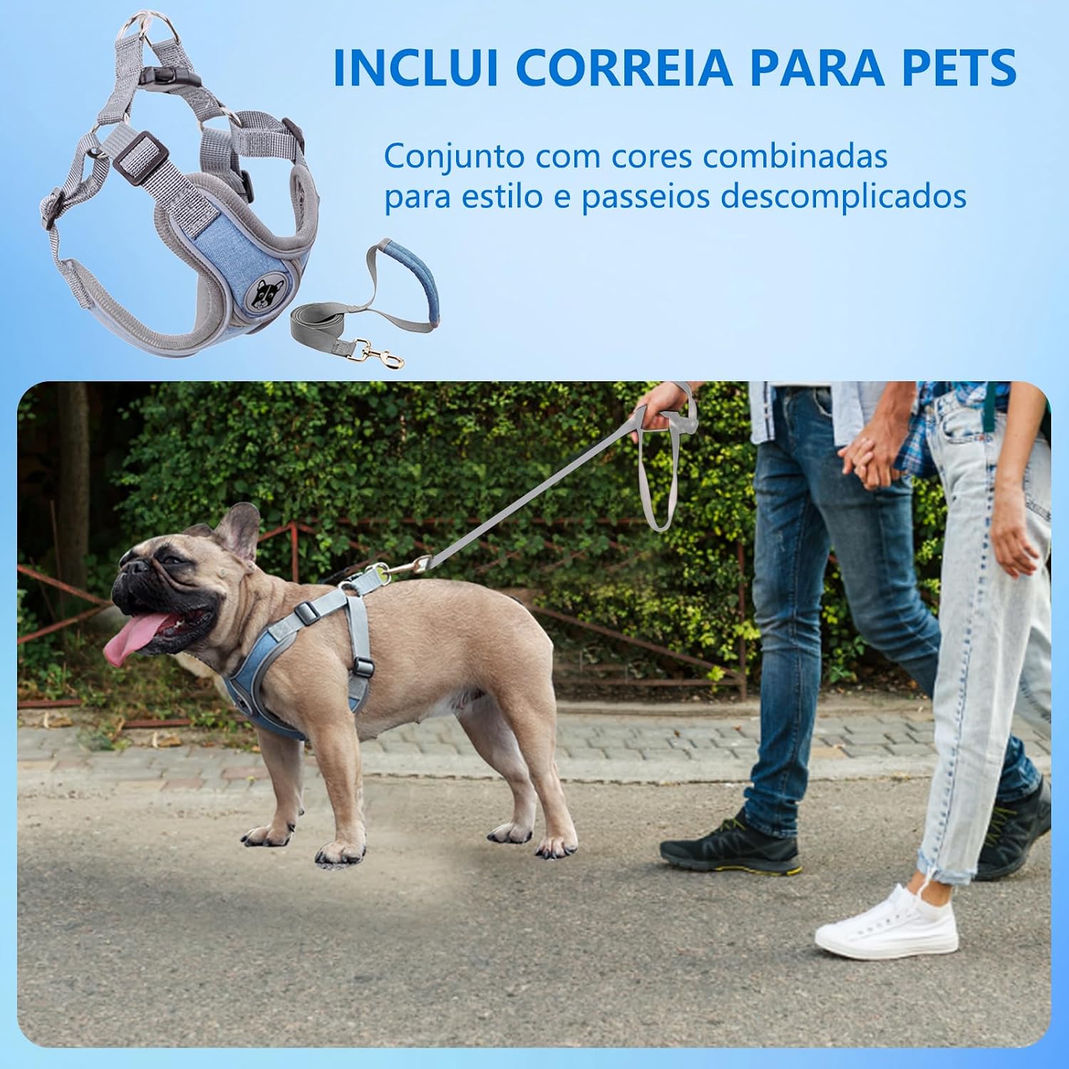 Coleira Peitoral para Cachorros, Peitoral para Cachorros Pequenos, Coleiras Ajustáveis, Peitorais e Guias para Cães, para Treinamento e Corrida, Cães Pequenos, Médios e Grandes (M)