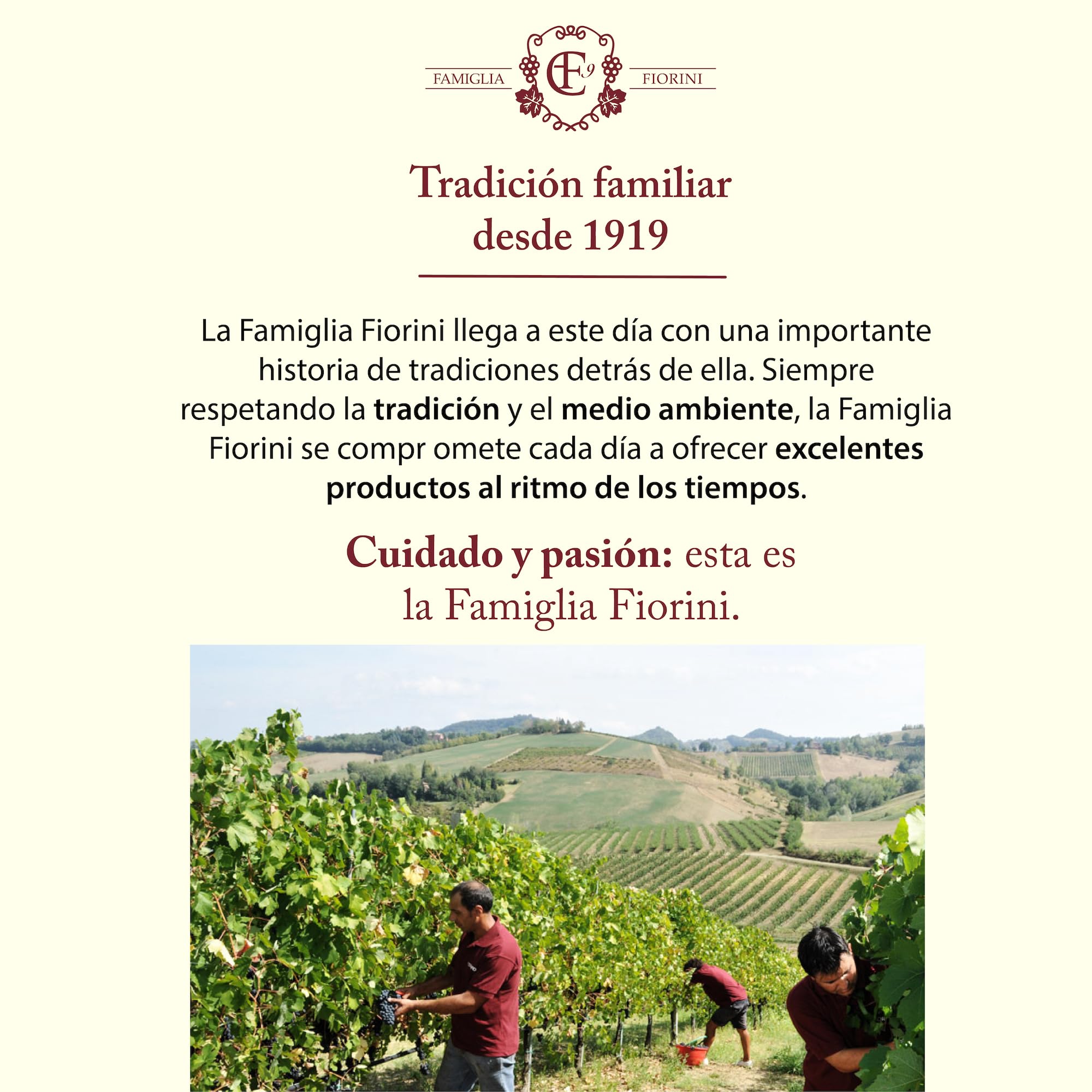 Famiglia Fiorini, Vinagre Balsámico Tradicional de Módena D.O.P. Envejecido 12 Años en Barricas de Roble, Elaborado con Uvas 100% Italianas, Ideal para Acompañar Carnes 100 ml.
