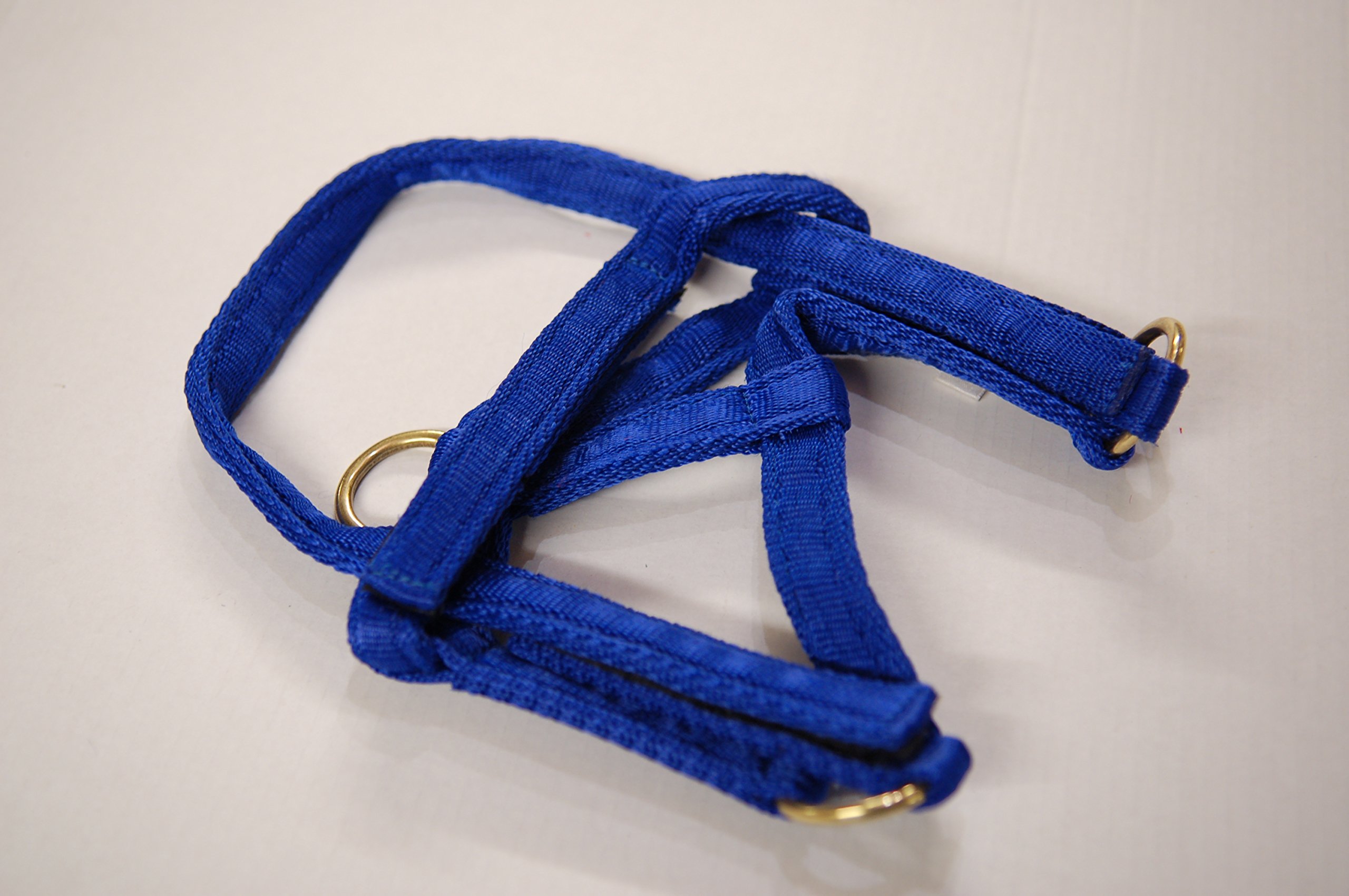 IV Horse Wee Pony Safety Turnout Headcollar (Royal, Small) — image 1