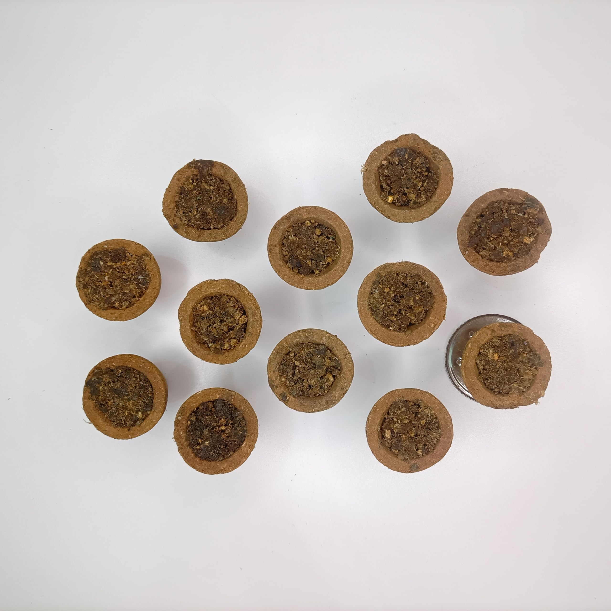 SIYA Naturals Sambrani Dhoop Cups for Pooja |12 Cups + 1 Burner Plate (Pack of 1) | Natural Guggal & Loban Long-Lasting Fragrance | Havan Cups for Pooja, Home & Festivals-picture-27