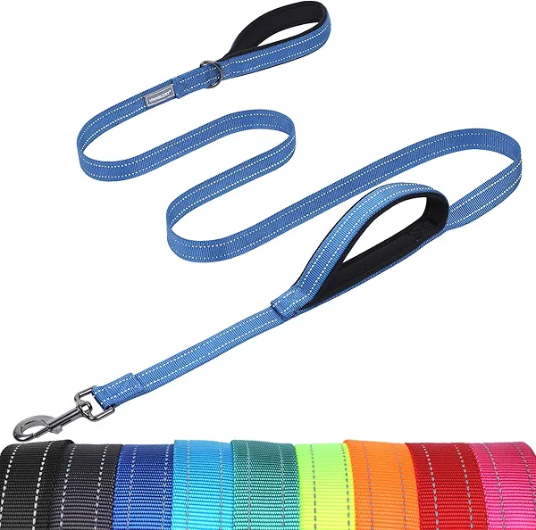 VIVAGLORY Twingrip Dog Leash, Double Handle Dog Leash for Training & Walking with Traffic Handle & 2 Loop, Traffic Control Reflective Heavy Duty for Puppy Pet, 6ft x 1in, Blue