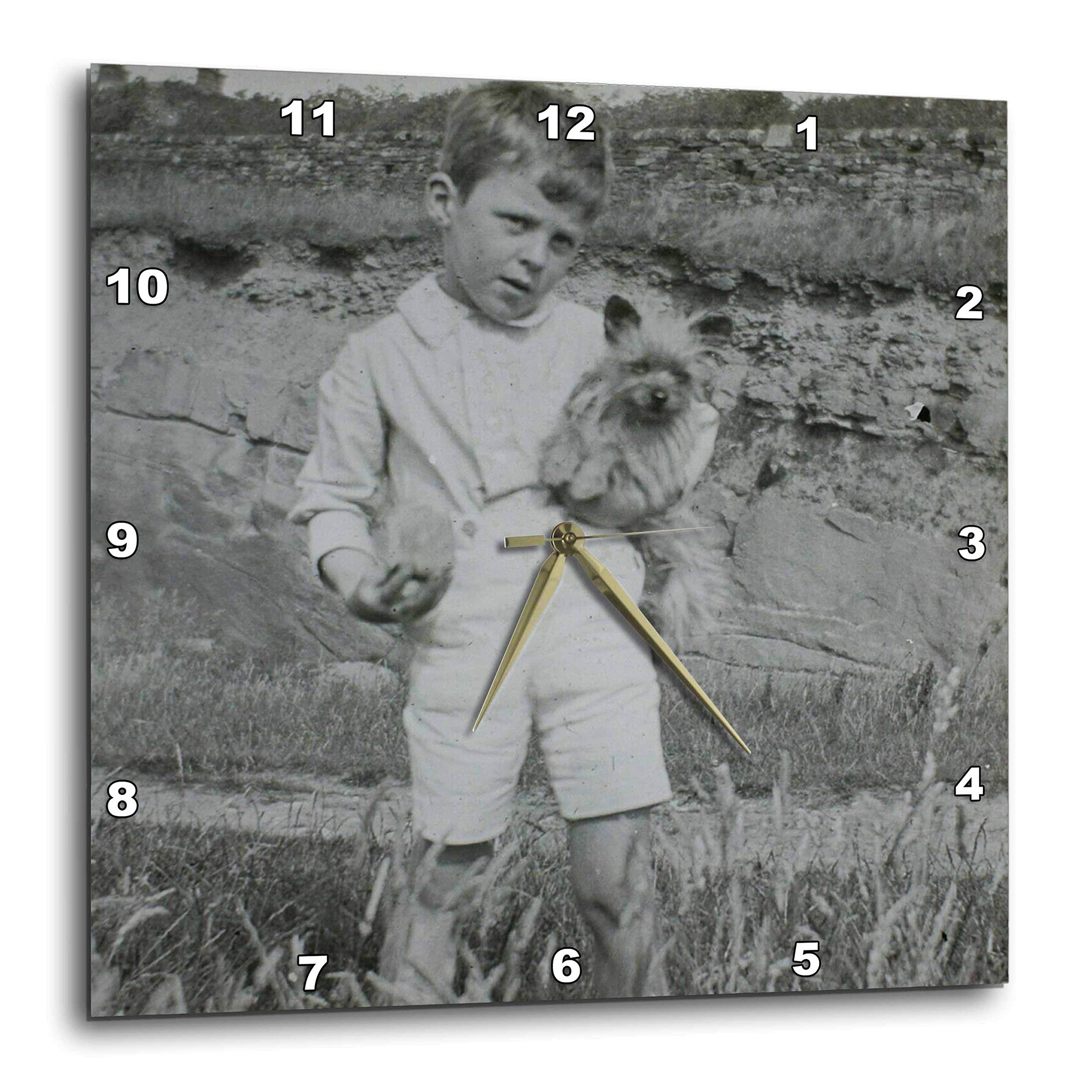 Horloge murale silencieuse Cairn Terrier vintage 38 cm pour decoration de salon retro