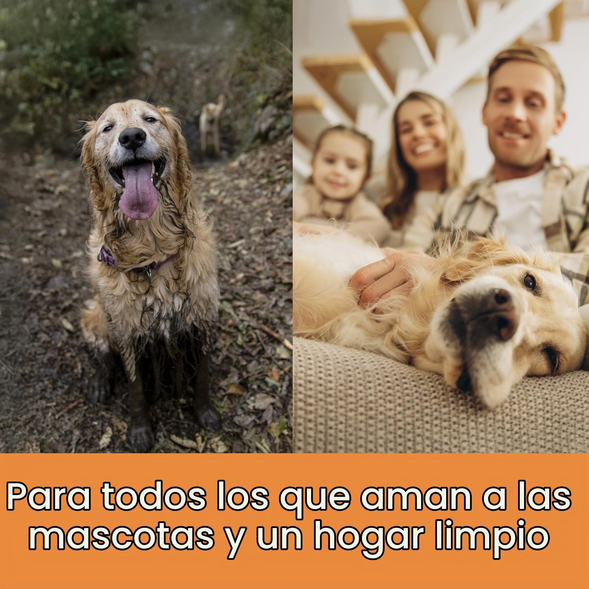 Thomas Cycloon Hybrid Family & Pets - Aspiradora ciclónica, filtración de Agua, Ideal para dueños de Mascotas, 1700 W máx