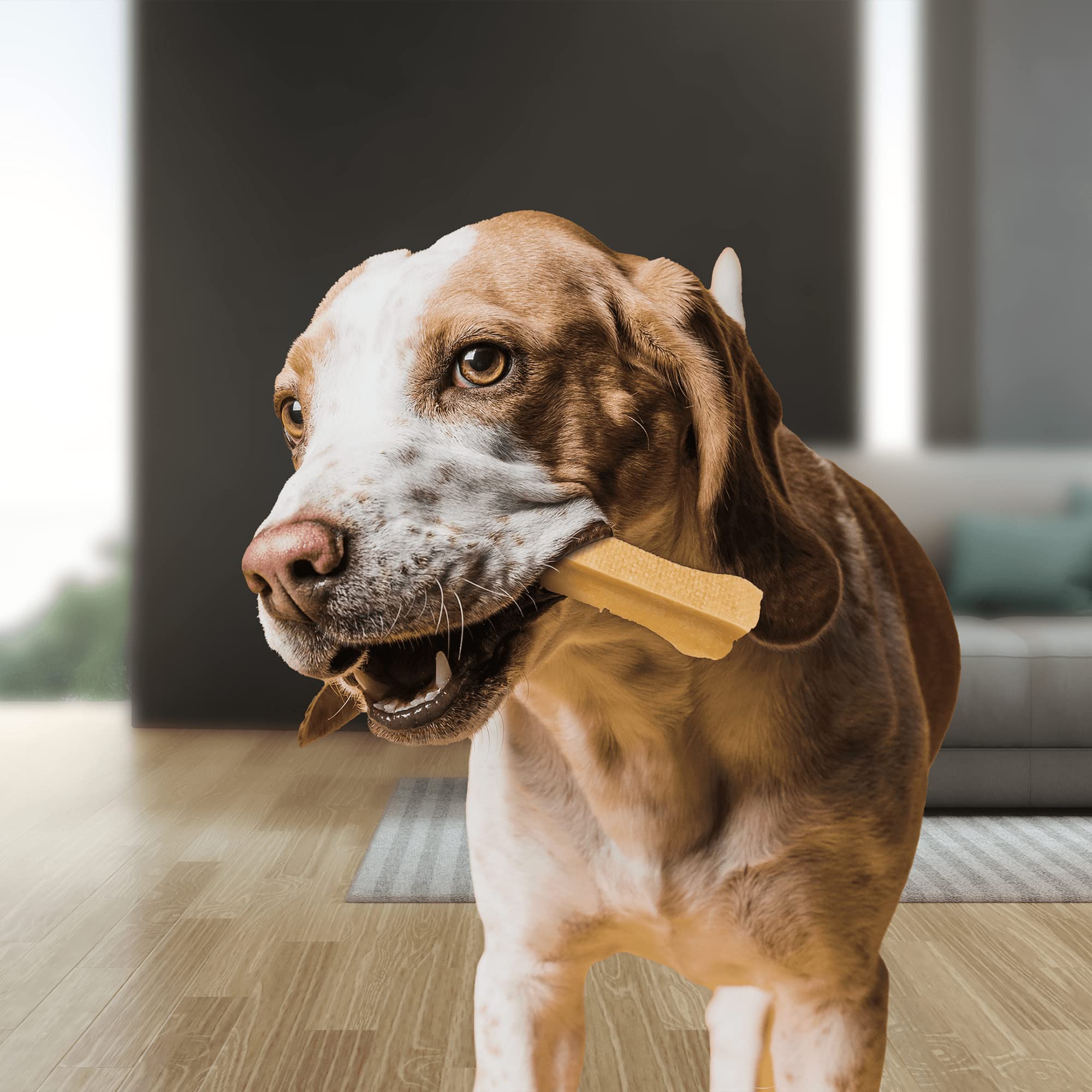 RF-Deer Queso del Himalaya para Perros, Receta Tradicional, XL, 3 Piezas | Receta del Himalaya, con leche de vaca, sin gluten, sin lactosa ni OGM, secado en cámara de ahumado, snack masticable firme