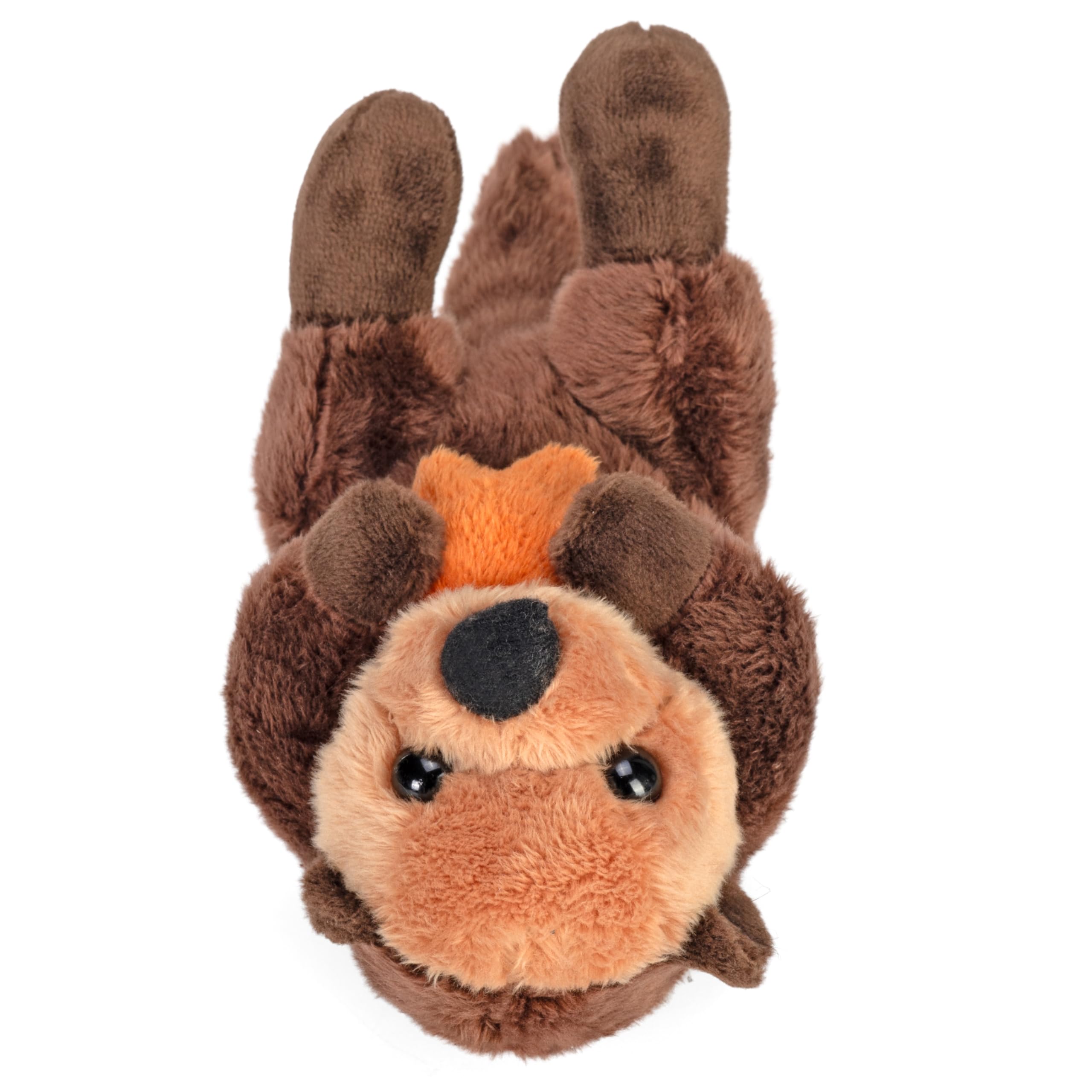 Peluche Nutria Marina Pocketkins Eco De Wild Republic – 12 Cm, Hecho Con Materiales Reciclados, Certificado Y Libre De Plásticos De Un Solo Uso