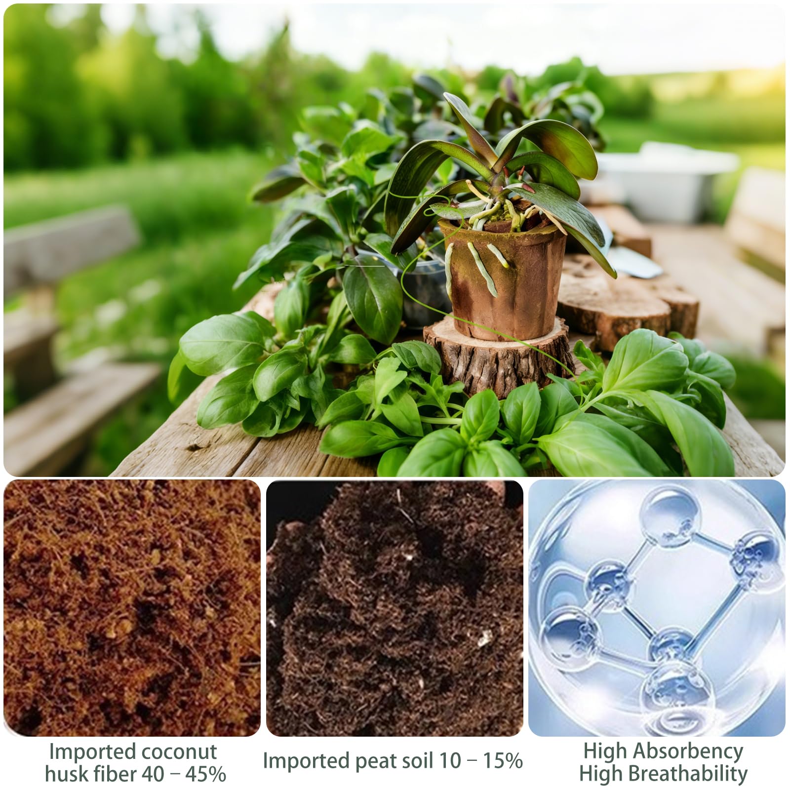 Premium Substrat pour Orchidées | Mélange Aéré et Drainant pour des Racines Saines | Idéal pour Le Rempotage des Phalaenopsis et Dendrobium (⌀9,20PCS)
