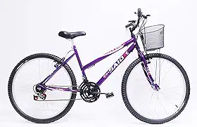 Bicicleta Aro 26 Feminina De Passeio 18 Marchas Saidx