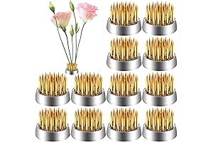 WUWEOT Set of 12 Flower Frogs