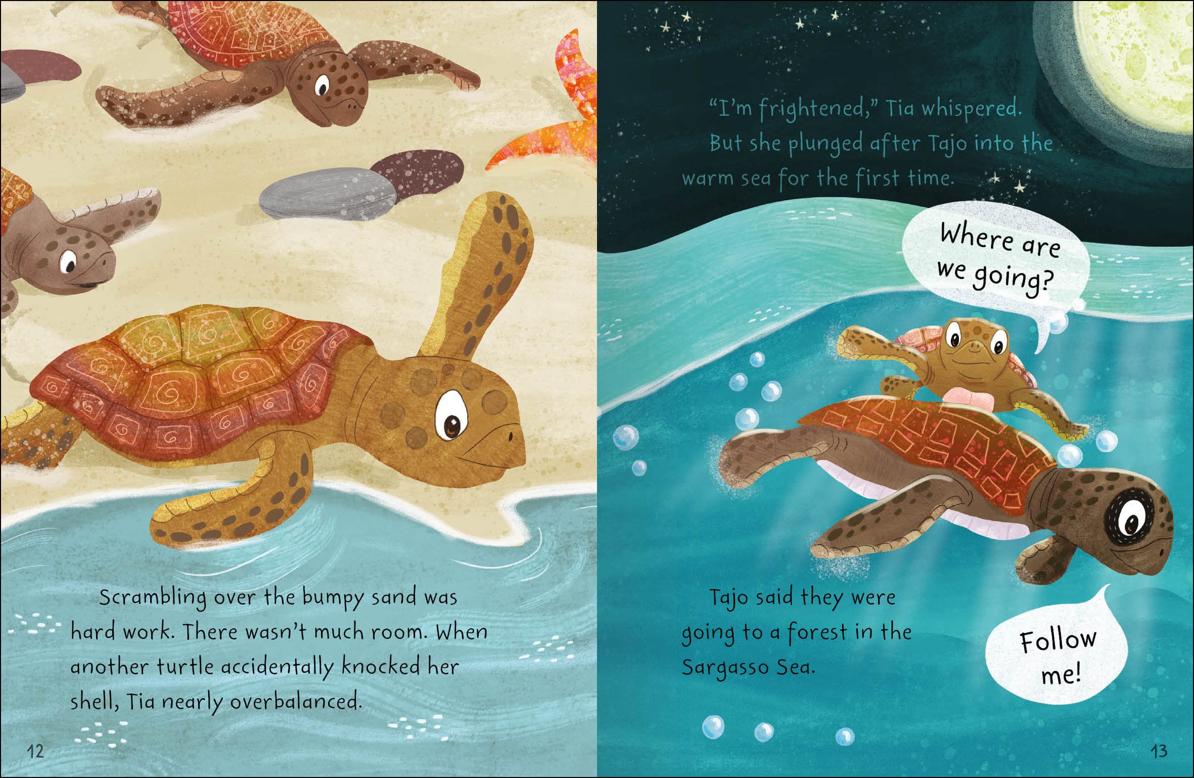 Stories from the Sea Collection: Six Illustrated Stories: A delightful illustrated children's storybook about sea animals (Sea Stories)