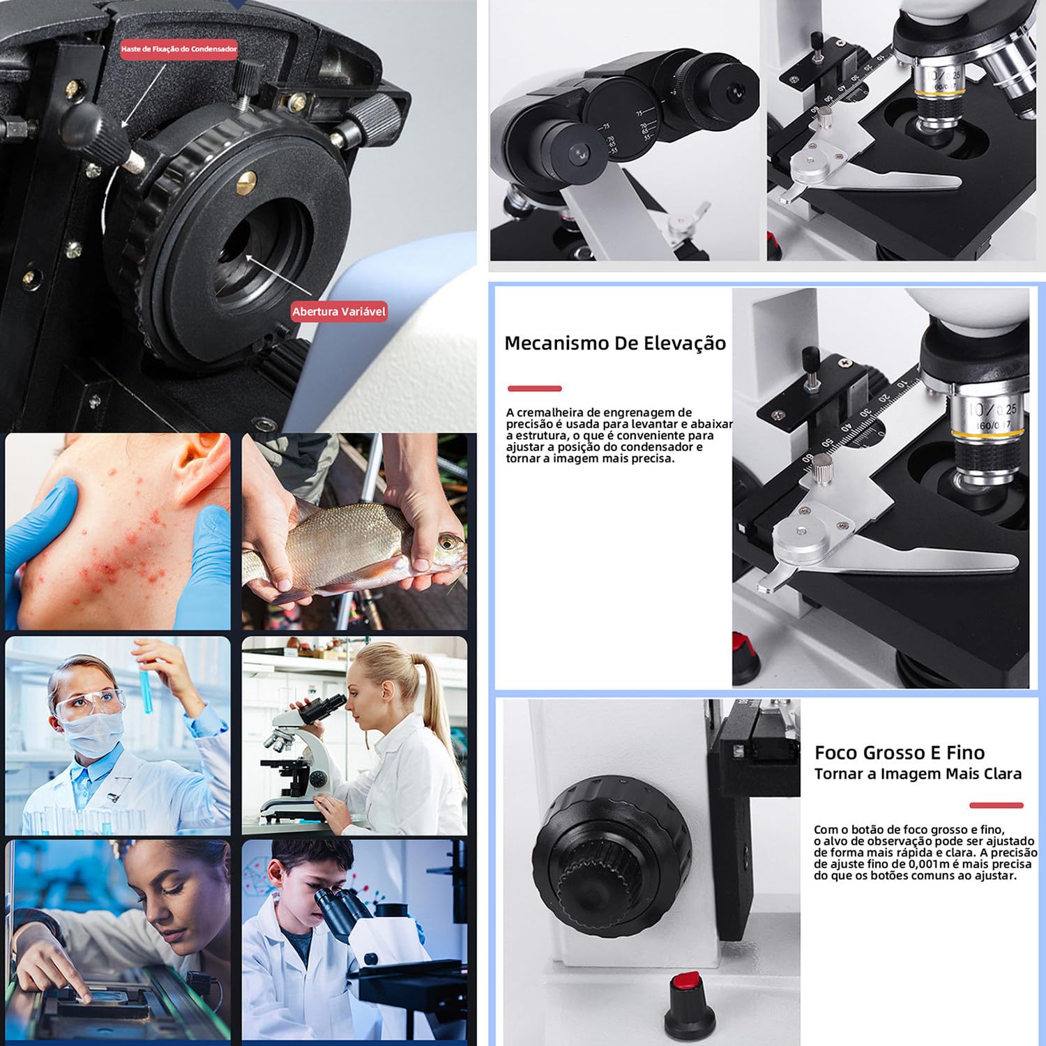 Microscopio binoculare Composto 30000x-70000x con Set di vetrini per microscopio e Adattatore per Telefono - Ideale per la Scuola, Il Laboratorio e l'istruzione Domestica,50000X