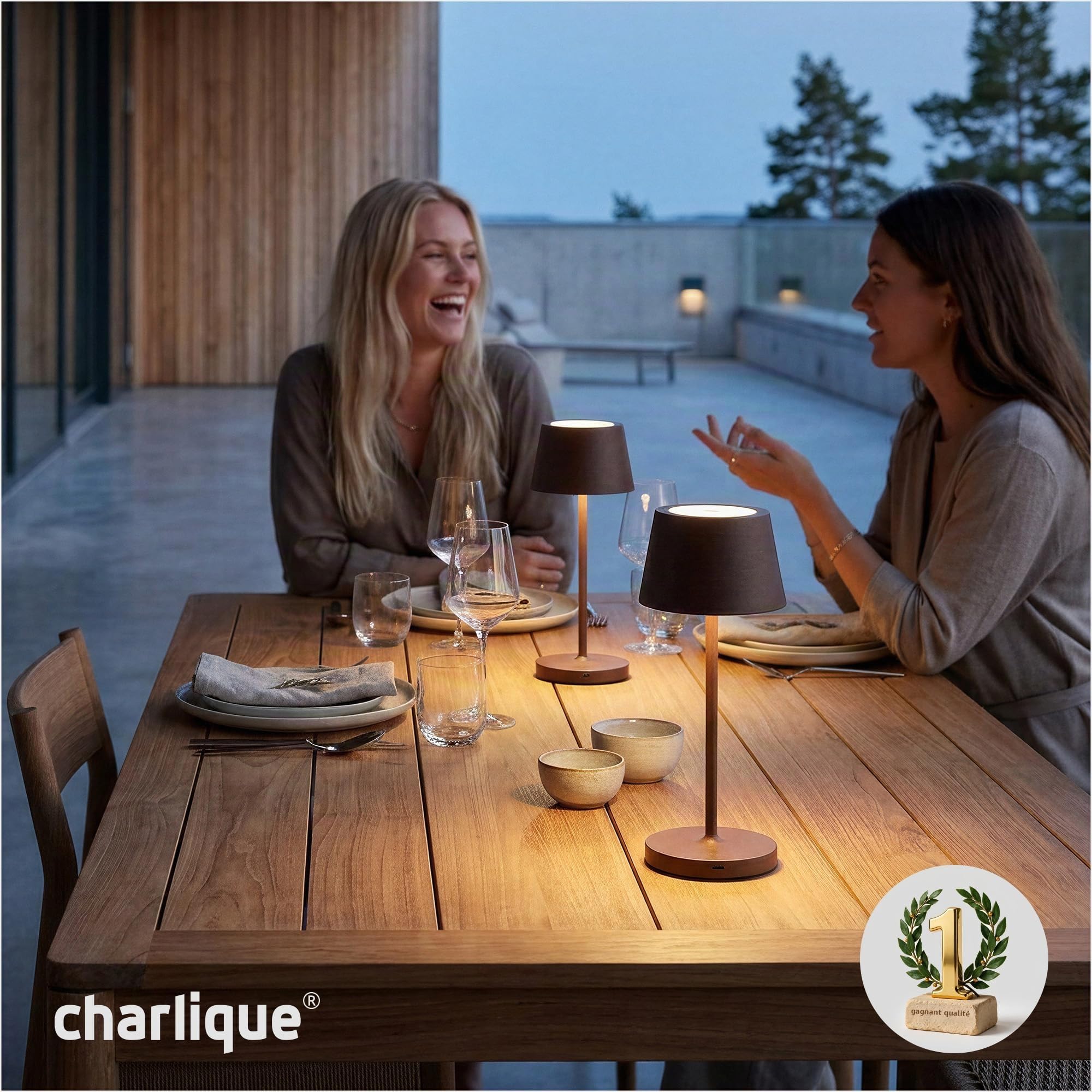 Dinner Light 2 mini - Lampe de table design en marron– lumière LED sans fil rechargeable puissante – lampe USB portable et dimmable - pour l'intérieur et l'extérieur