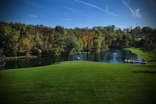 Miniatura 8 de Tinte negro ultraconcentrado para estanque - 1 cuarto de galón Líquido (paquete de 2 cuartos de galón)
