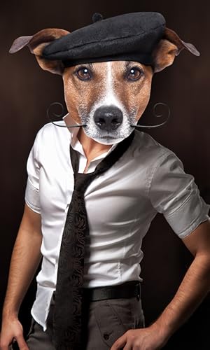 Dog Face Photo Montage