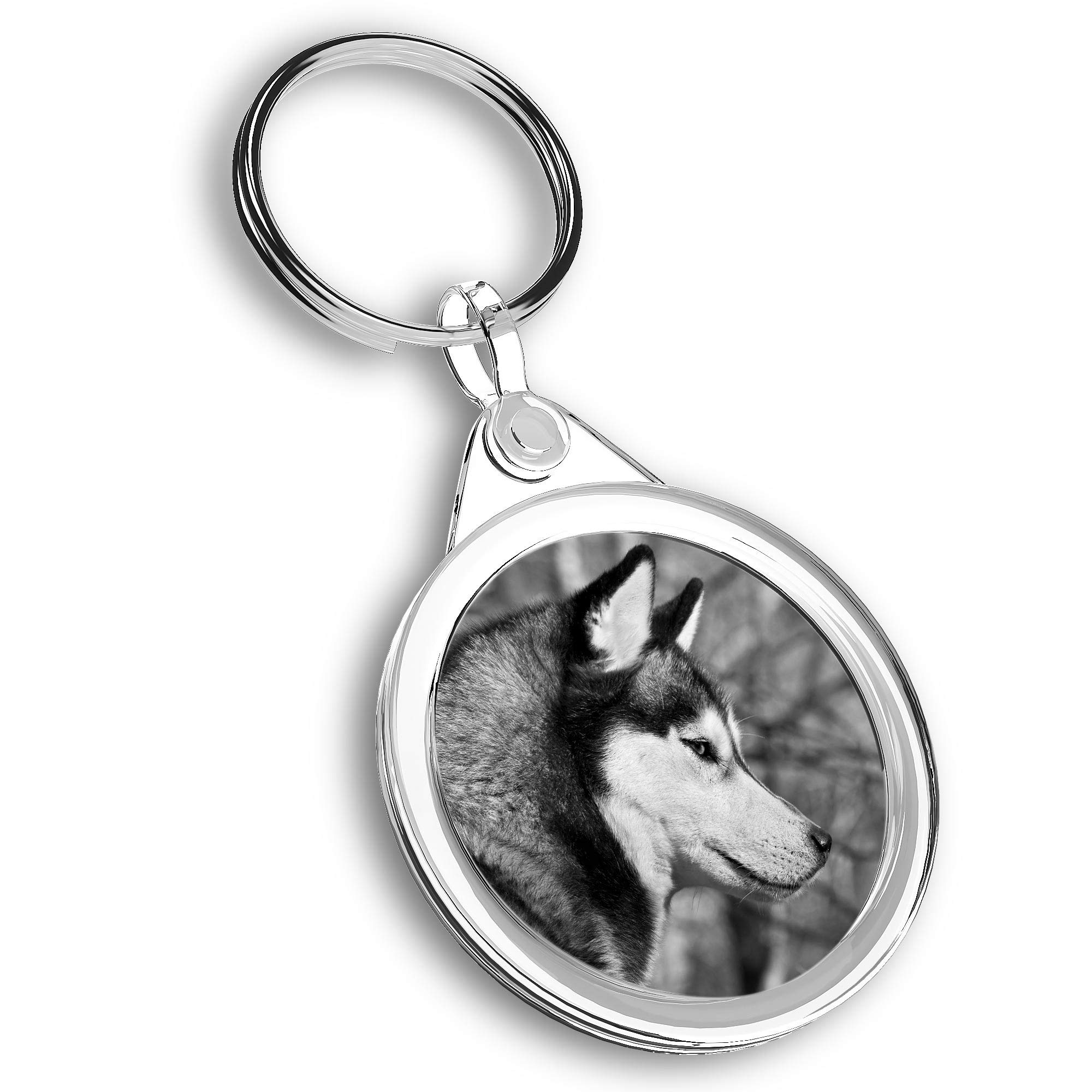 Destination Vinyl Ltd Unisex Multi 1 X Photo Keyring - Siberian Husky Dog Alaskan Malamute |Keychain|Keyring|Charm| #43522