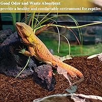 Vista 6 de ZeeDix Paquete de 2 bloques de fibra de coco 100% orgánico, lecho de fibra de coco para terrarios para reptiles, tortuga, dragón barbudo, geco