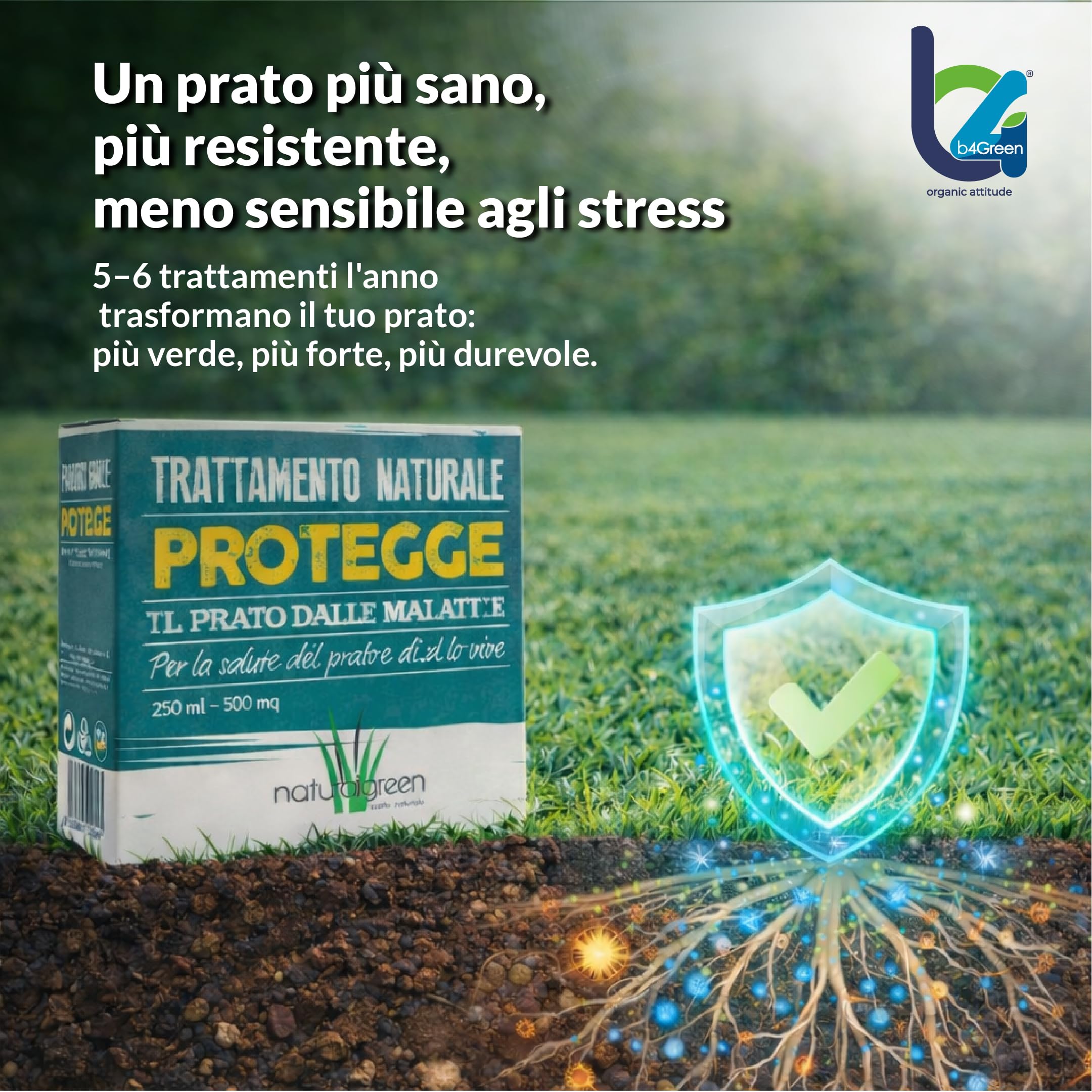 B4Green Protegge Prato (500m²) Funghicida per Prato Naturale Bio 250ml | Fungicida per Prato contro malattie fungine e prato malato, Micorrize Bio e Trichoderma per un tappeto erboso sano e verde