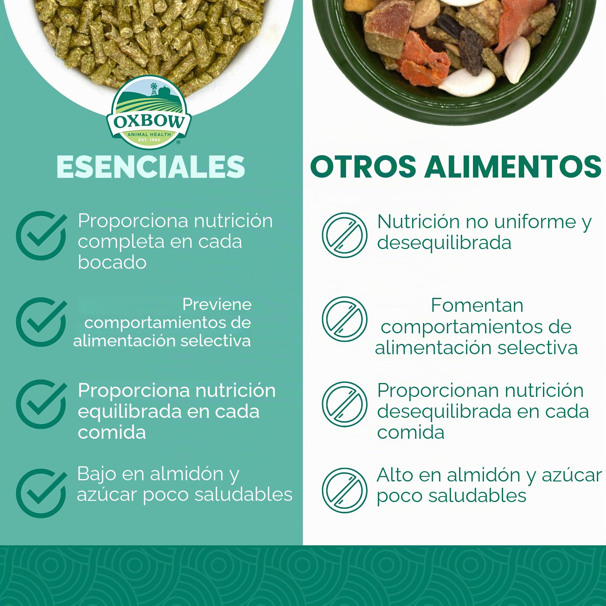 Petlife Oxbow Cavy Cocina Completa alimentación para Adultos Guinea Pig, 4,5 kg