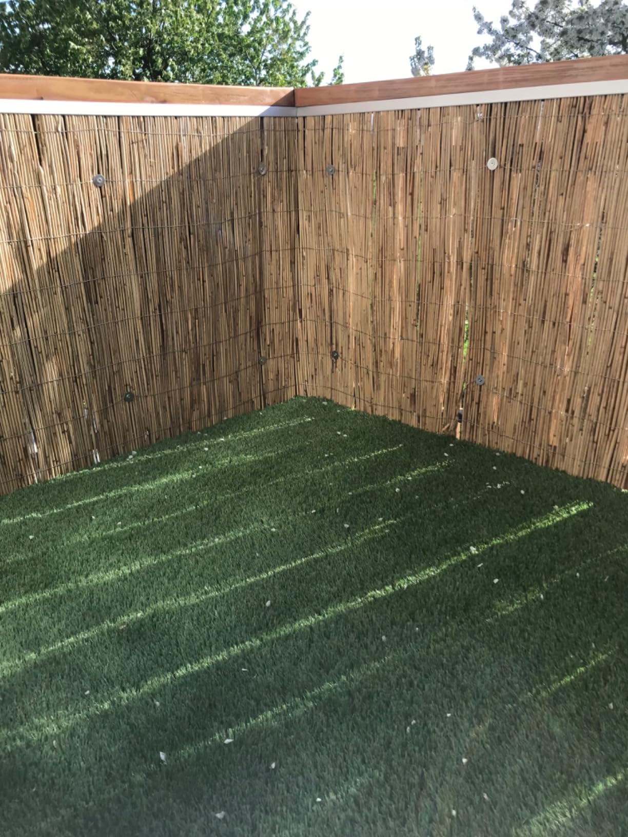 Schilfrohrmatte Beach 90x300cm - Sichtschutz Für Balkon, Made In EU