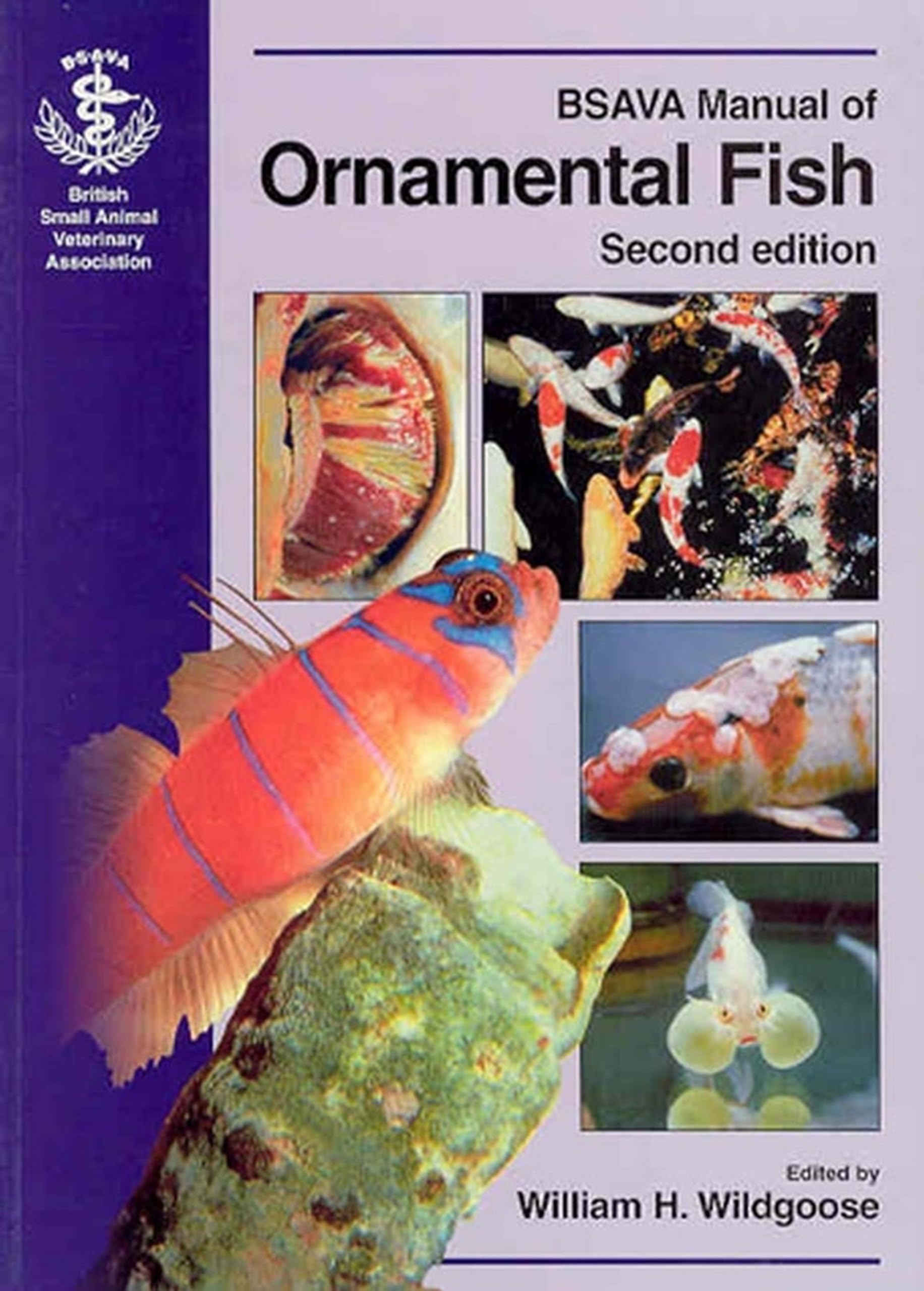 Bsava Manual Of Ornamental Fish 2nd Edition Desertcart INDIA