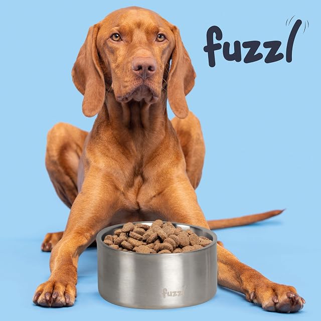 Foto 3 de 6 de Fuzzl Titan Cuenco Térmico de Acero Inoxidable para Perros