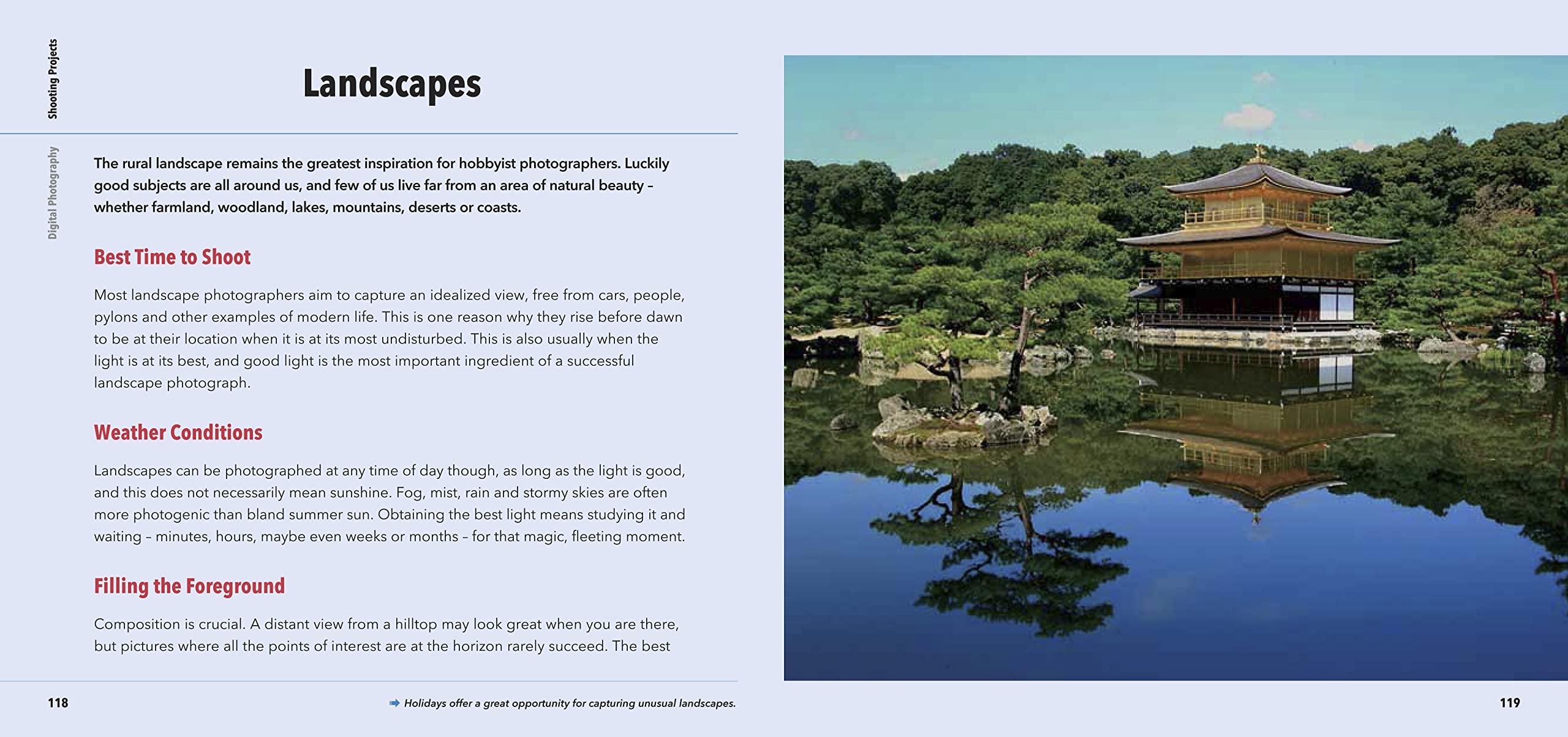 Digital Photography: Tips, Tricks and Techniques