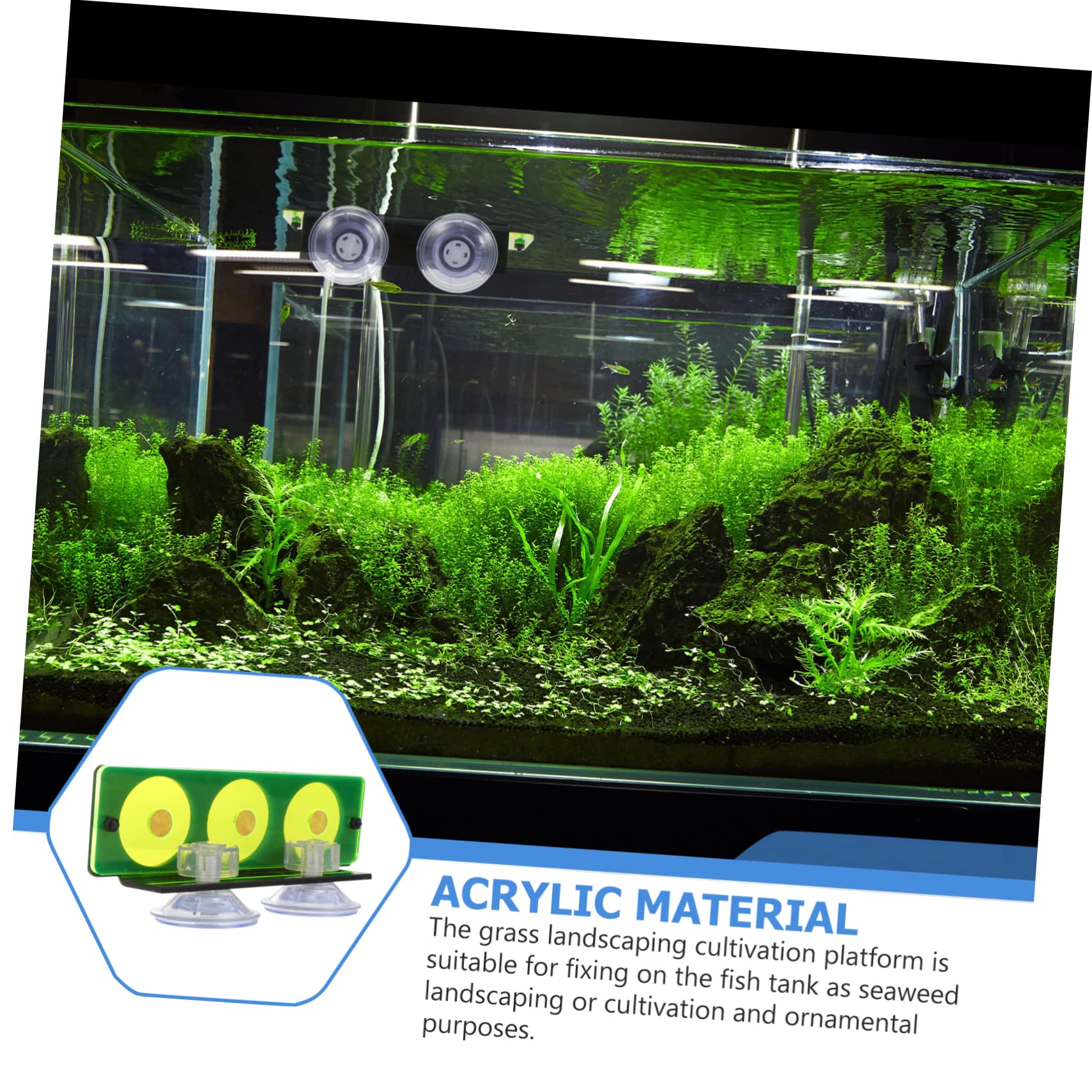 3 Stücke Acryl Korallen Basen Große Züchter Box Für Aquarium Riff Sicher Korallen Riff Basen