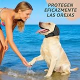 Ver la foto 7