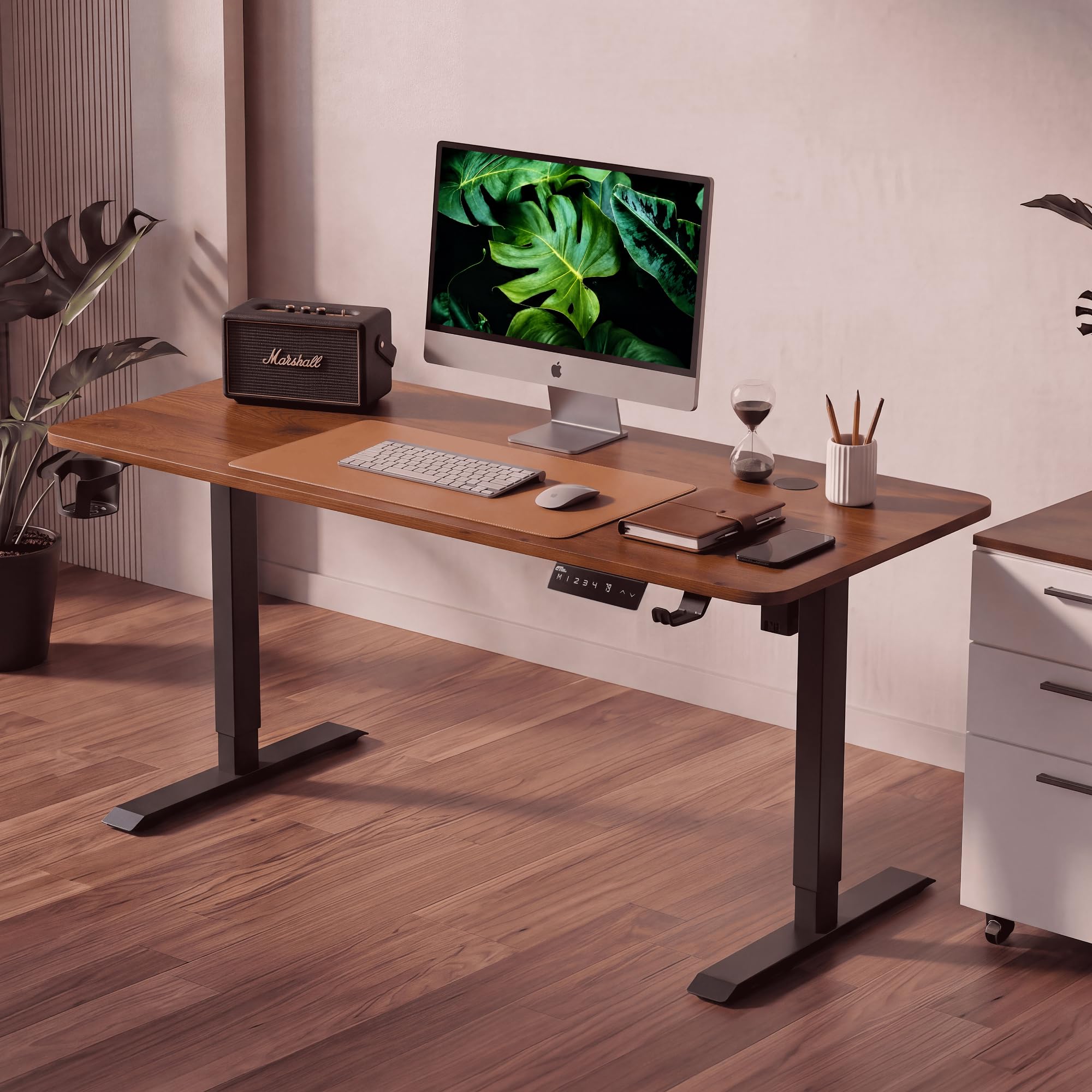 Ergo throne V ONE Electric Standing Desk with One-Piece Solid Top | Heavy Duty Height Adjustable Computer Desk | 3 Memory Preset | 5 Year Warranty | for Home Office (Grenade Pine, 100 * 60 CM)