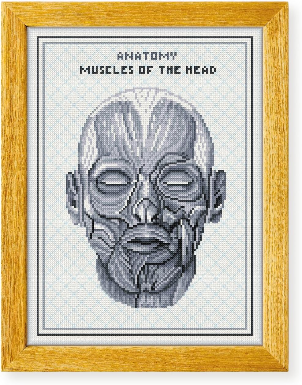 Awesome Pattern Studio Facial Muscles The Human Anatomy DS2087, Diamond Painting Kit, Diamond Art Kits for Adults, Full Drill 5D Diamond Dots Kits. All Items Included.