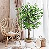 Product Photo 5