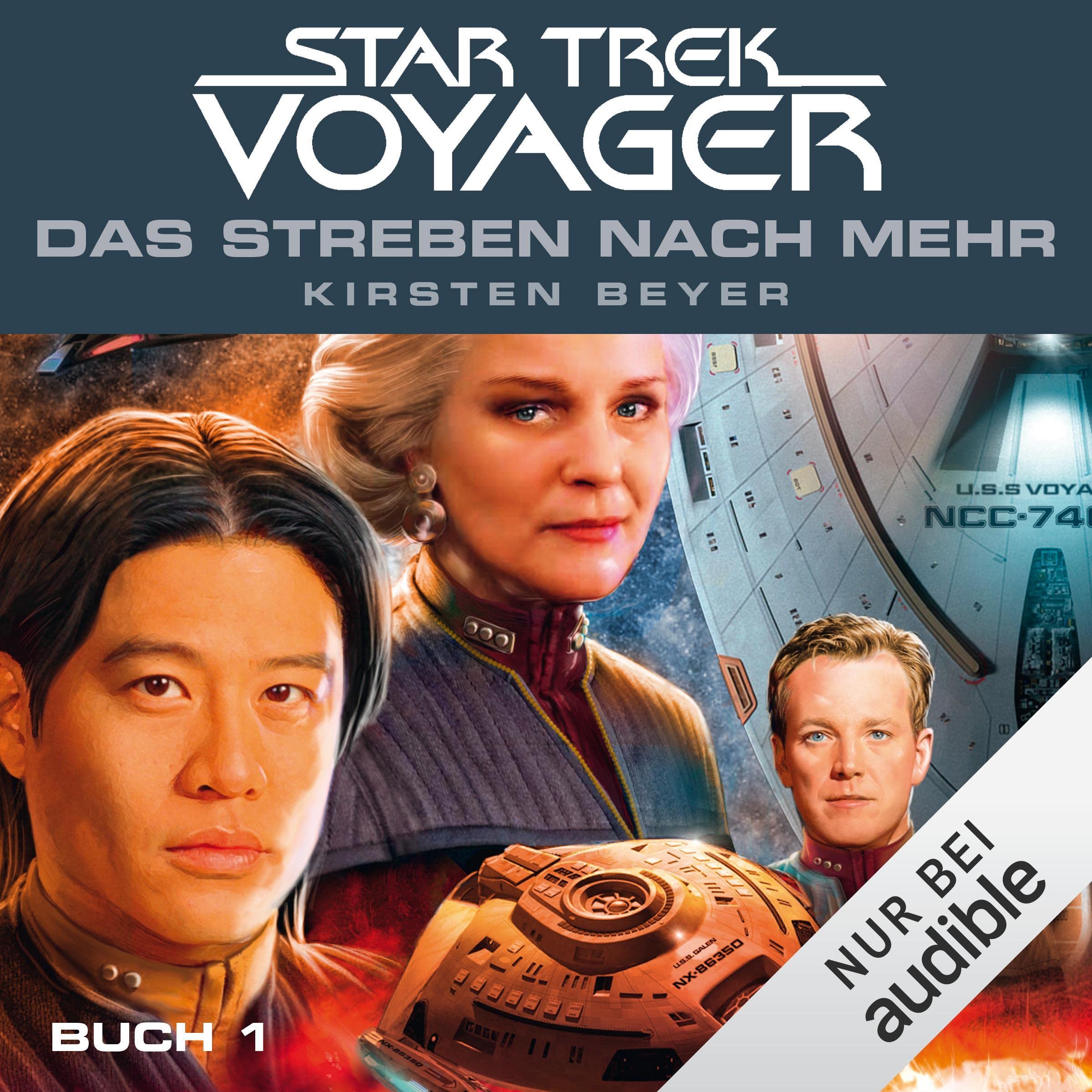 Cover art for Das Streben nach mehr 1