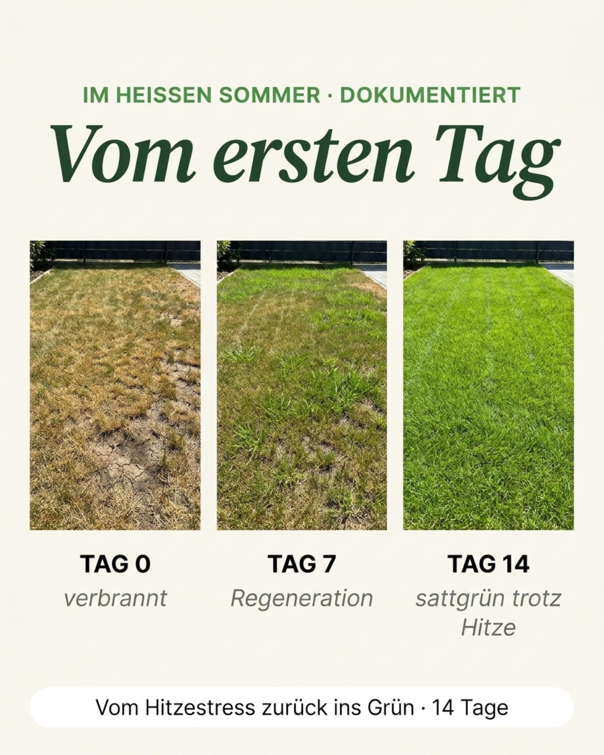 Organtic Sommerrasendünger 20kg, Dünger für sattgrünen Rasen, bekämpft Moos, für Streuwagen