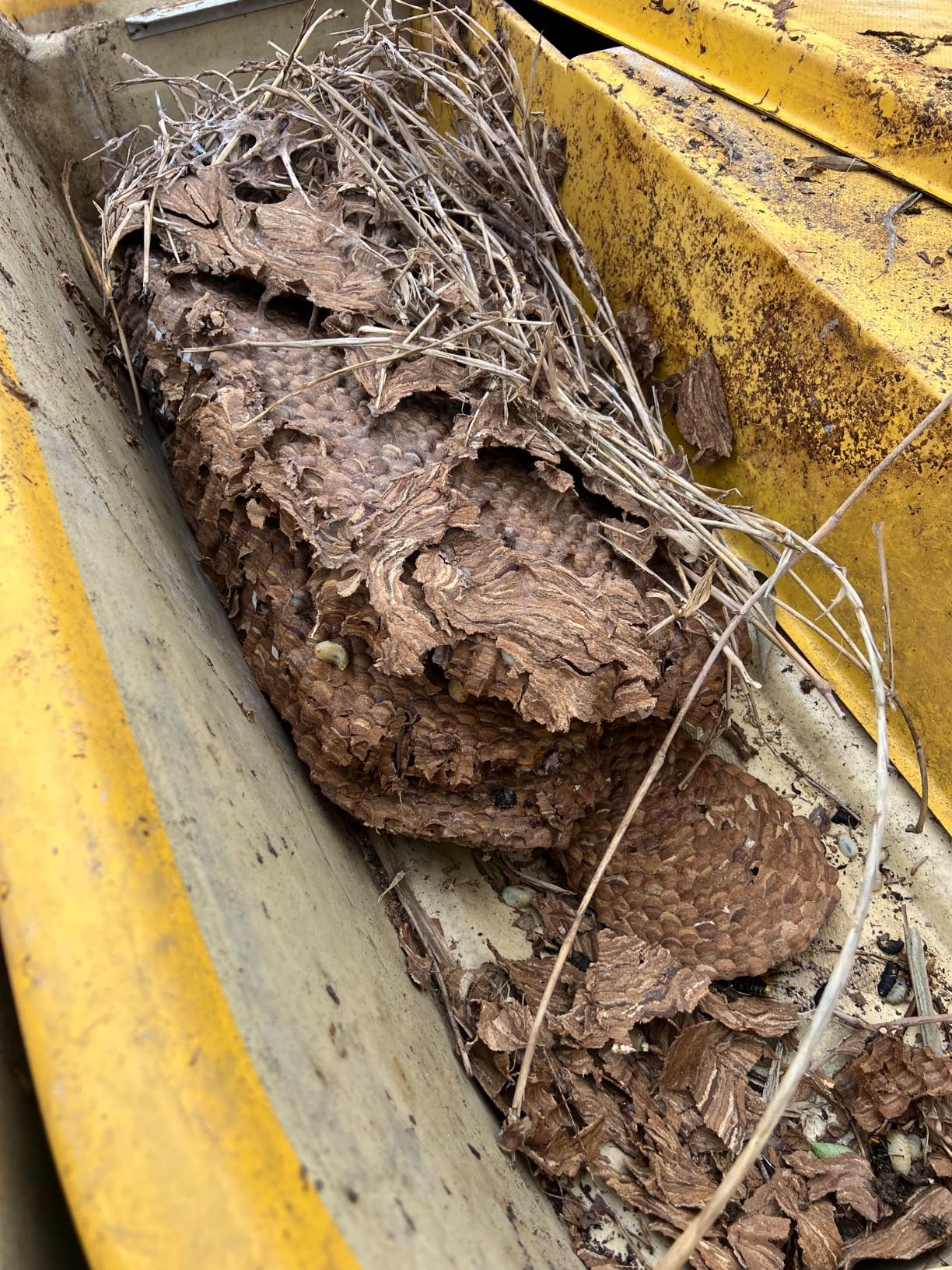 お客様イメージ