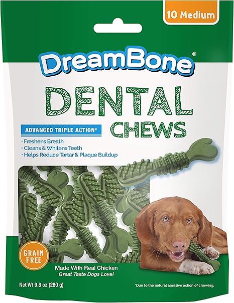 pooch & mutt puppy development