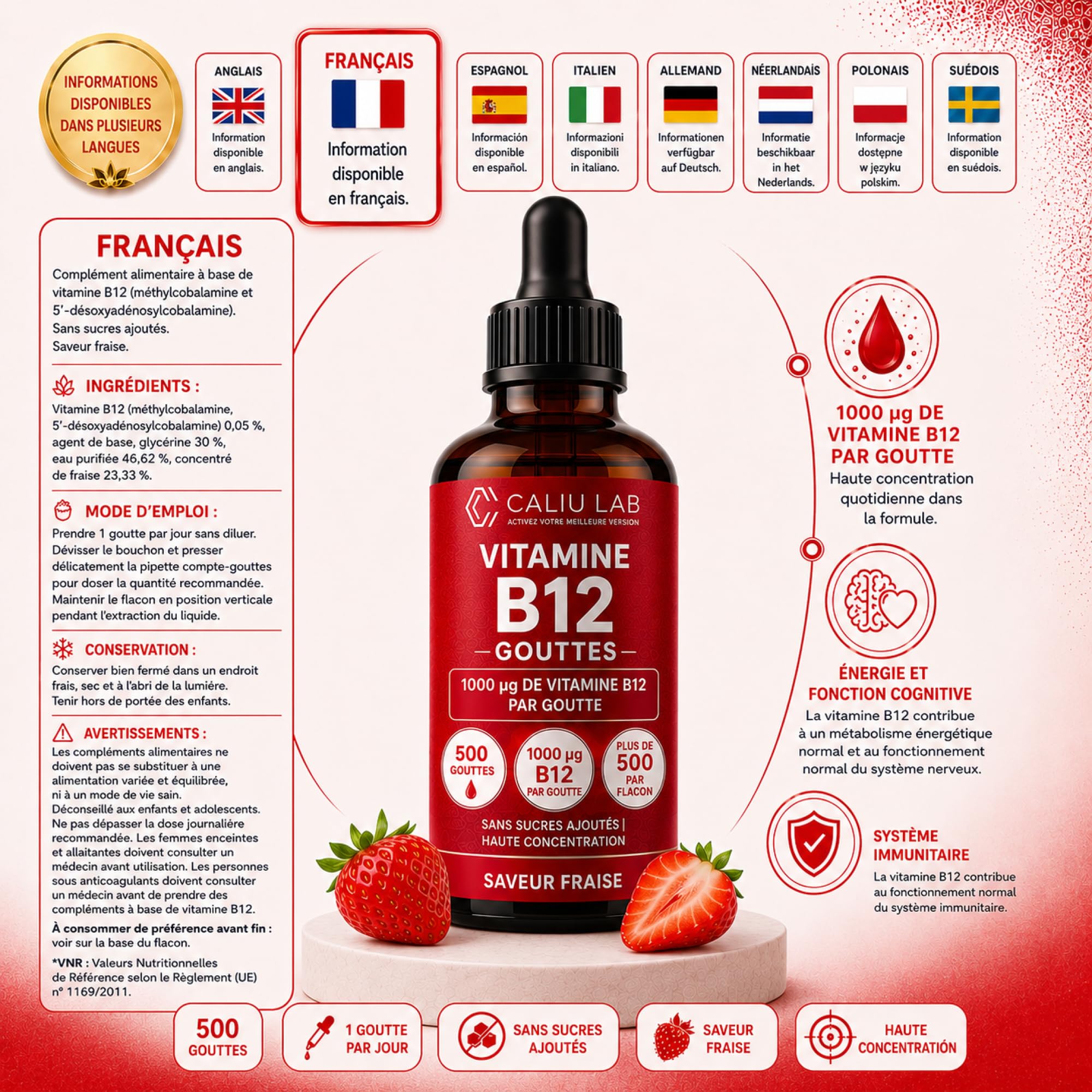 Vitamine B12 Méthylcobalamine Sublinguale | 100 ml Gouttes Liquides | Haute Concentration en Vitamine B12 Active | Complément Alimentaire pour l'Énergie, le Système Nerveux et le Métabolisme