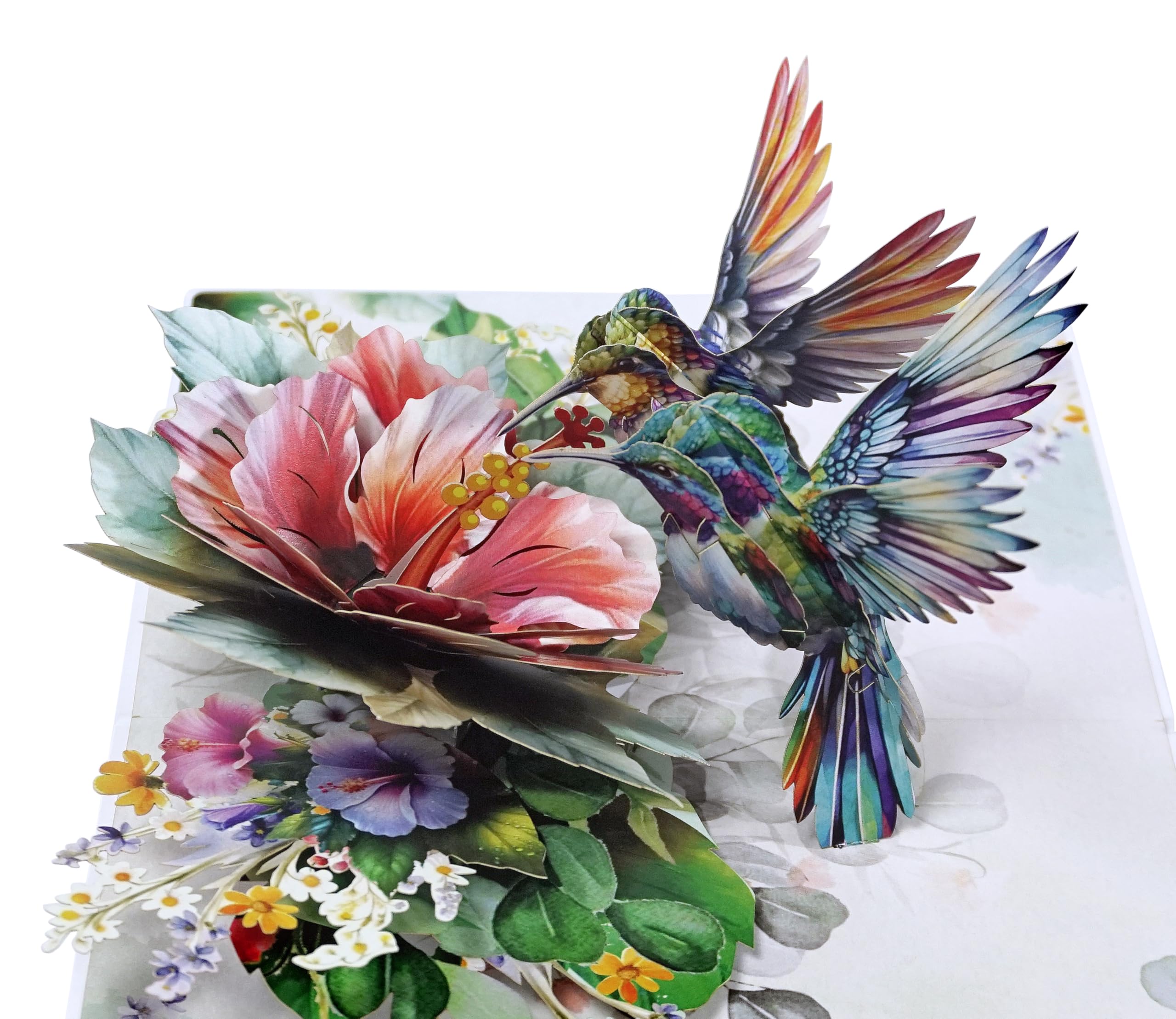 CUTPOPUP Birthday Card Pop Up, 3D Birthday Greeting Card, Mother's Day for Women, Mom, Wife, Grandma, Daughter (Hibicus Flower & Hummingbird Couple)
