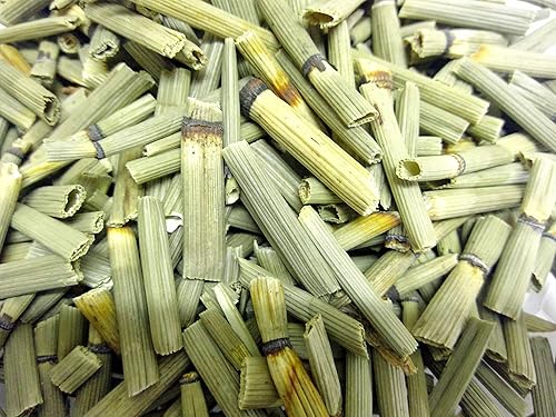 HealinGifts Cola de Caballo Té de hierbas Shavegrass de cola de caballo, 0.5 onzas en bolsa Kraft resellable