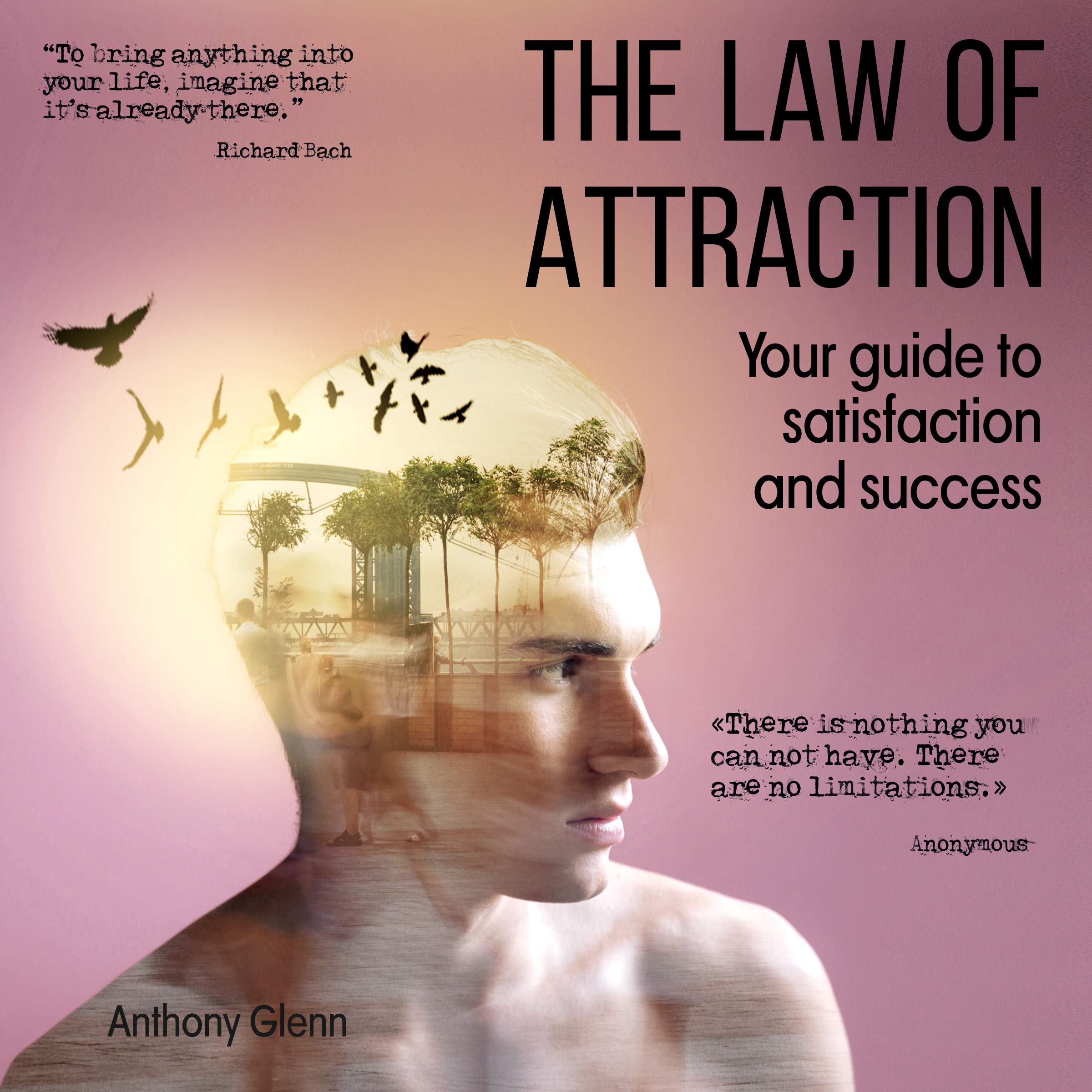 The Law of Attraction: Your Guide to Satisfaction and Success