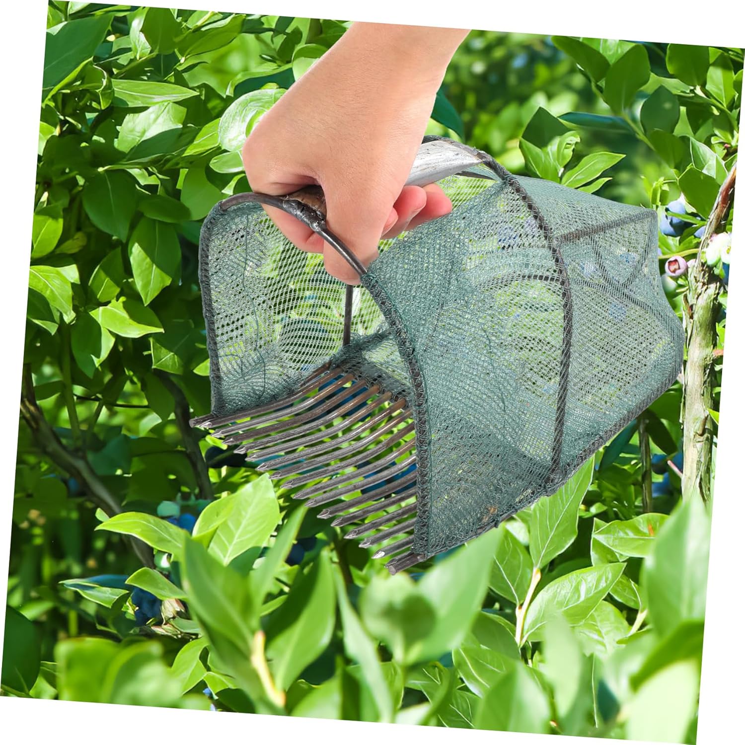 GANAZONO Convenient Blueberry Picking Scoop Berry Picker Rakes Garden Fruit Picker for Outdoor Use