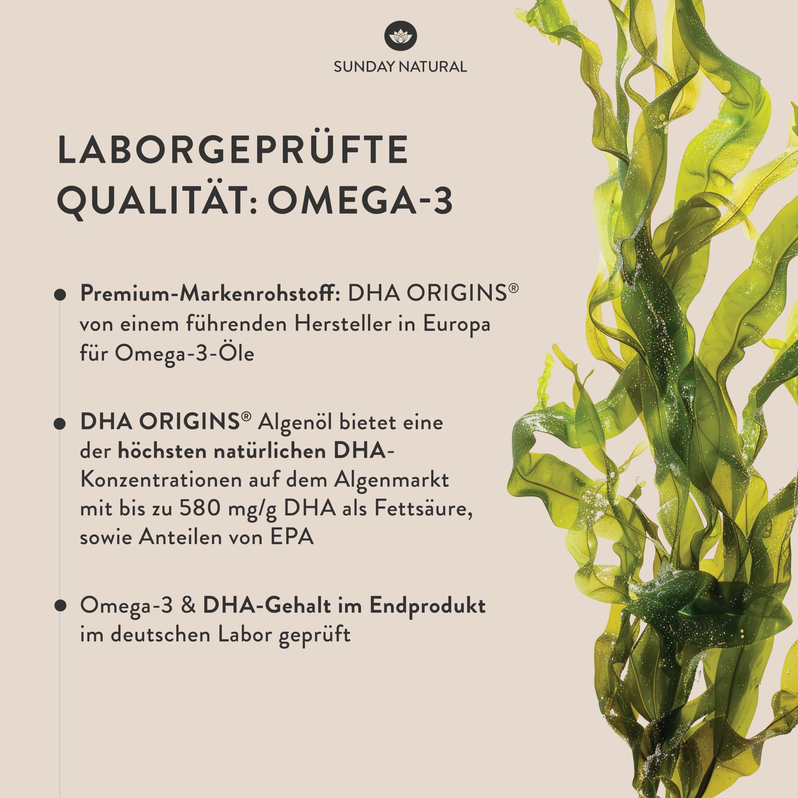SUNDAY NATURAL® DHA Omega 3 Algenöl Vegan - Hochdosiert 1.000mg Omega 3 EPA DHA – 100ml – Natürlicher Zitronengeschmack – Triglycerid-Form – Laborgeprüft in Deutschland, ohne unnötige Zusätze
