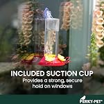 Perky-Pet 8-Ounce Window Mount Hummingbird Feeder 217 | 3 Bee Guard Ports, Suction Cup & Removable Perches, Plastic Shatter-Resistant Bottle for Outdoor Backyard Bird Watching, 217