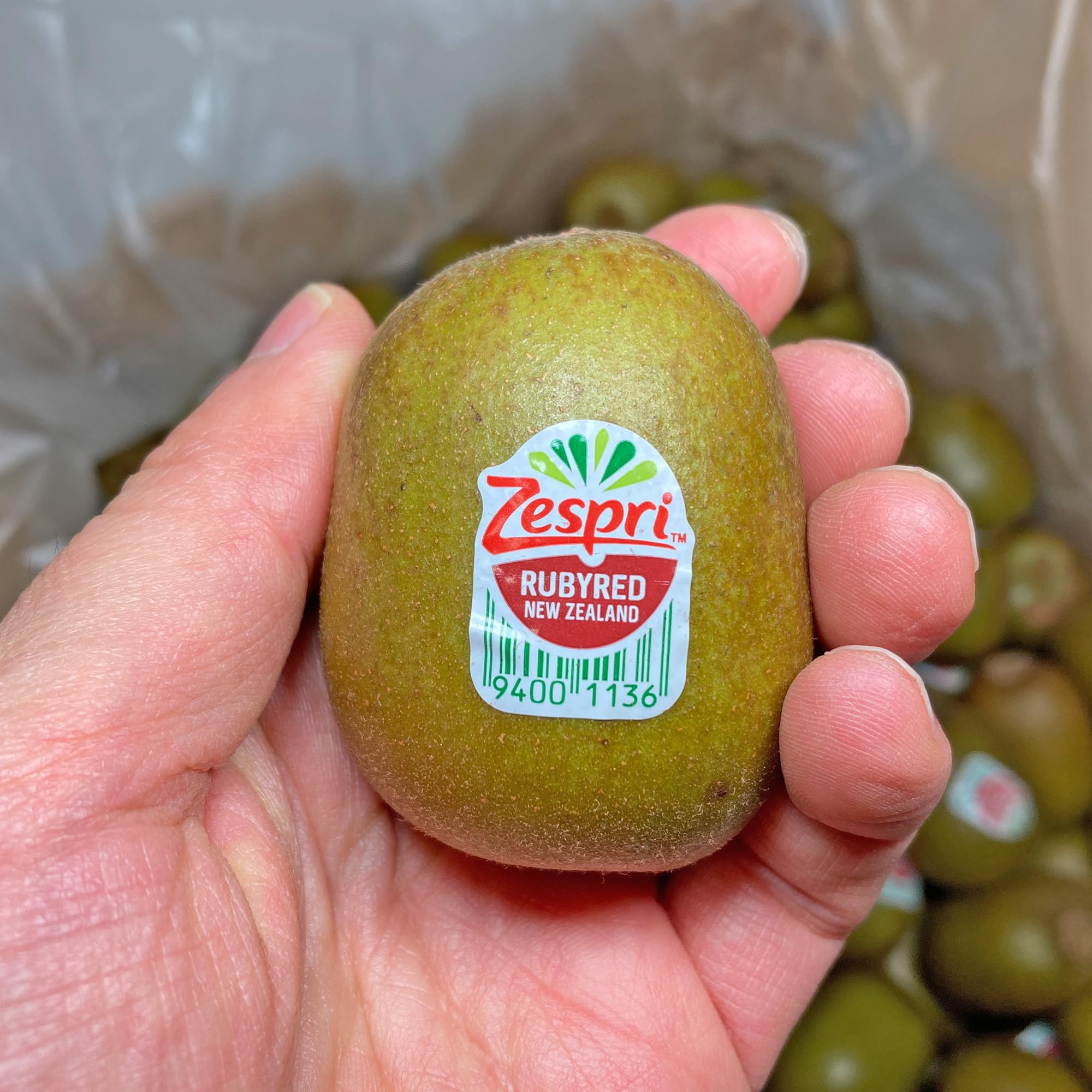 期間限定　ゼスプリ　ルビーレッドキウイ　6kg キウイフルーツ　ルビーキウイ season-plaza_kiwi07